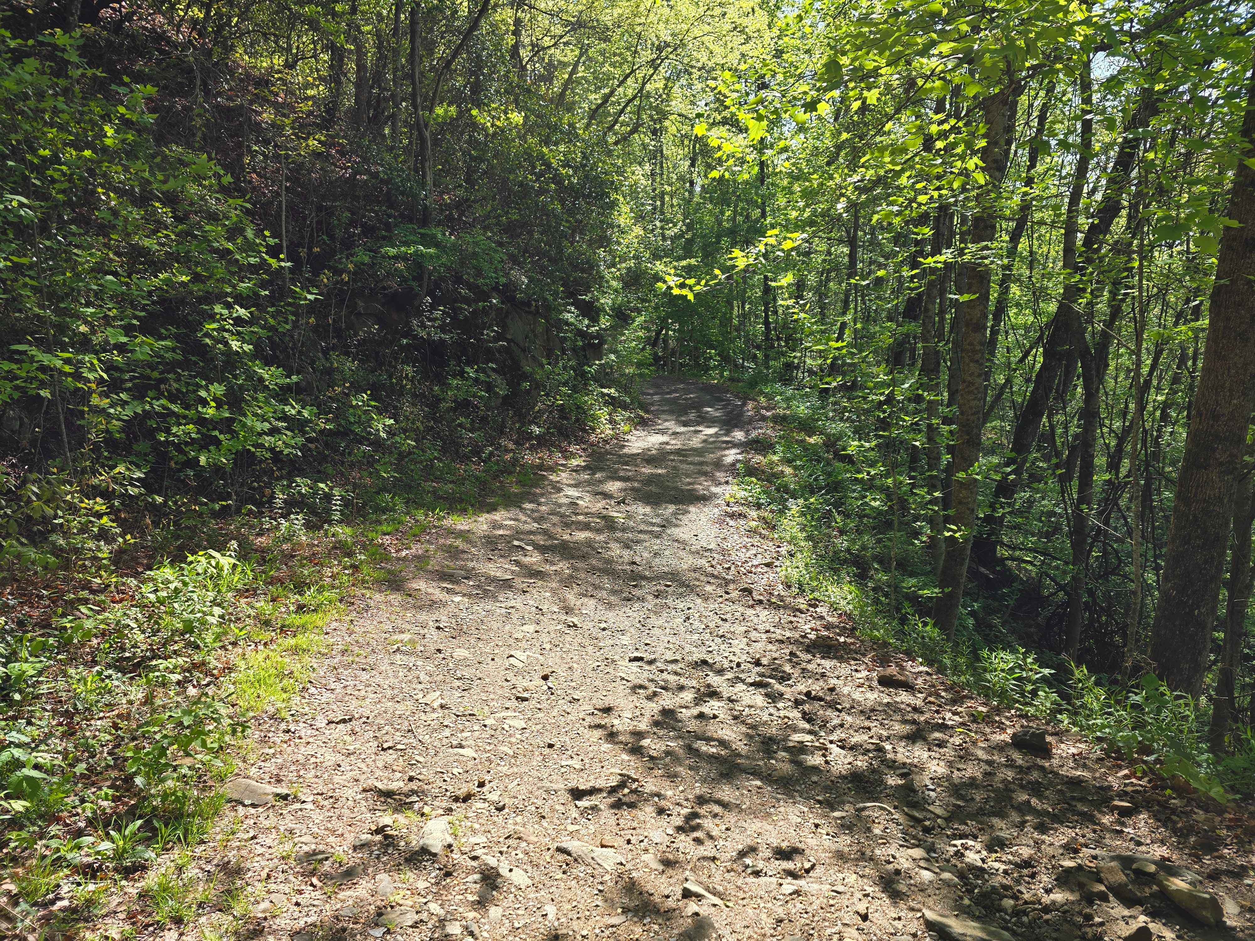 Webb Mill Road