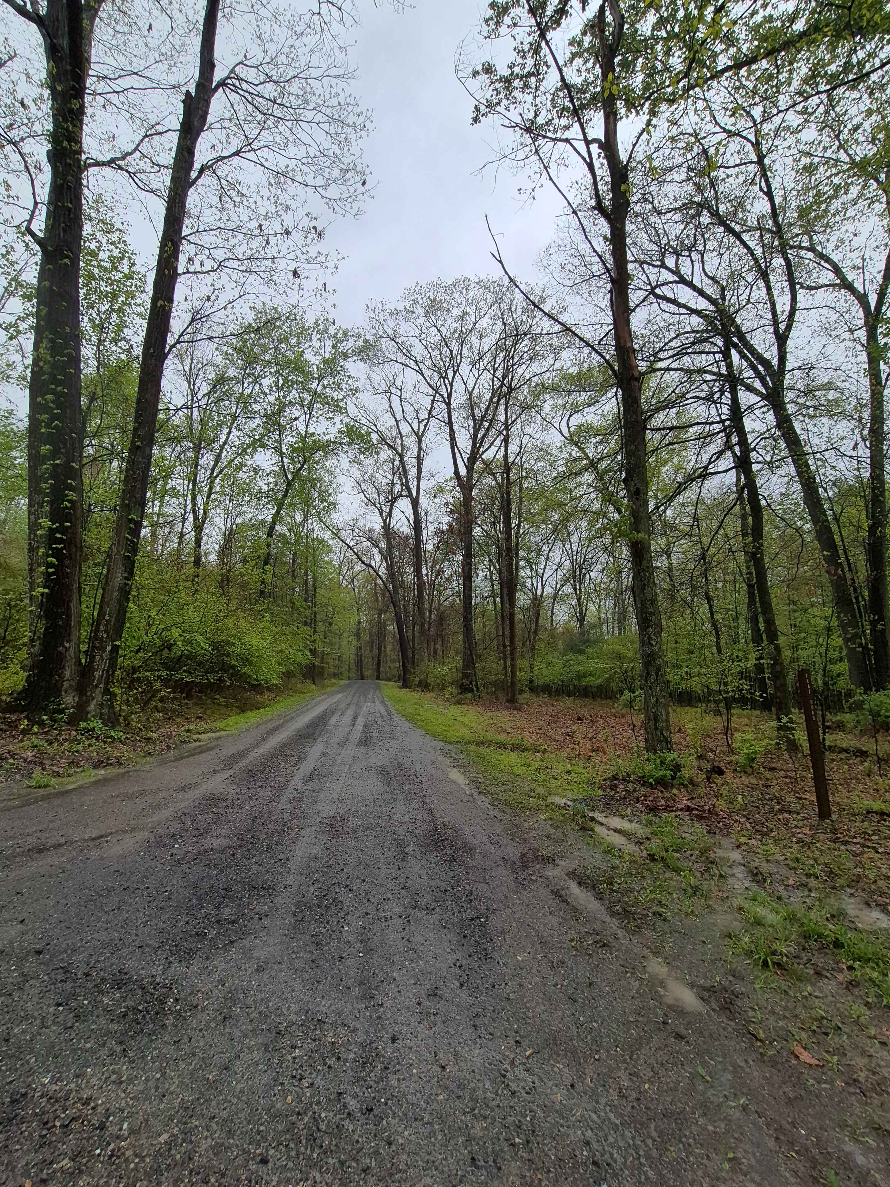 Flat Road