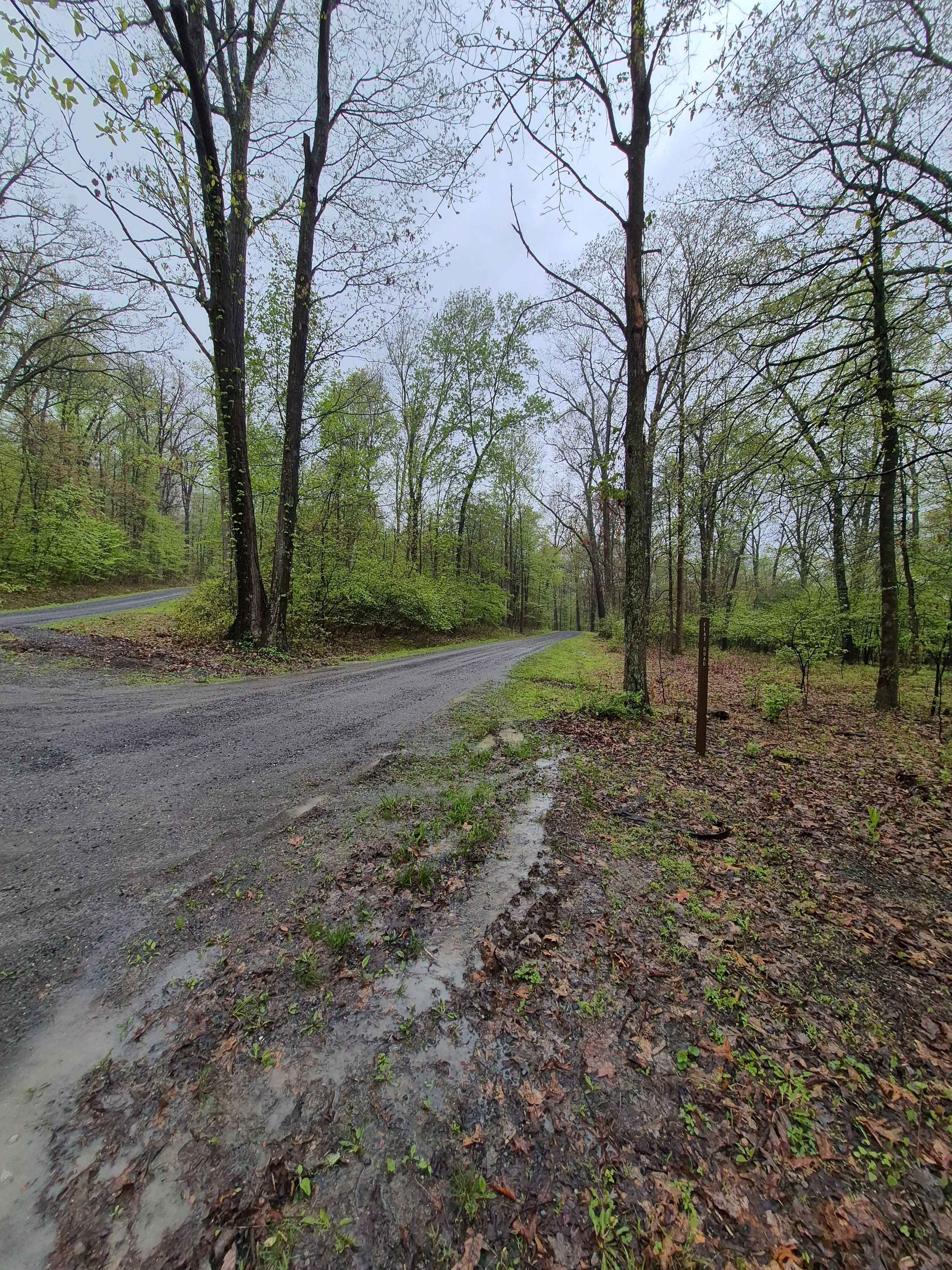 Flat Road