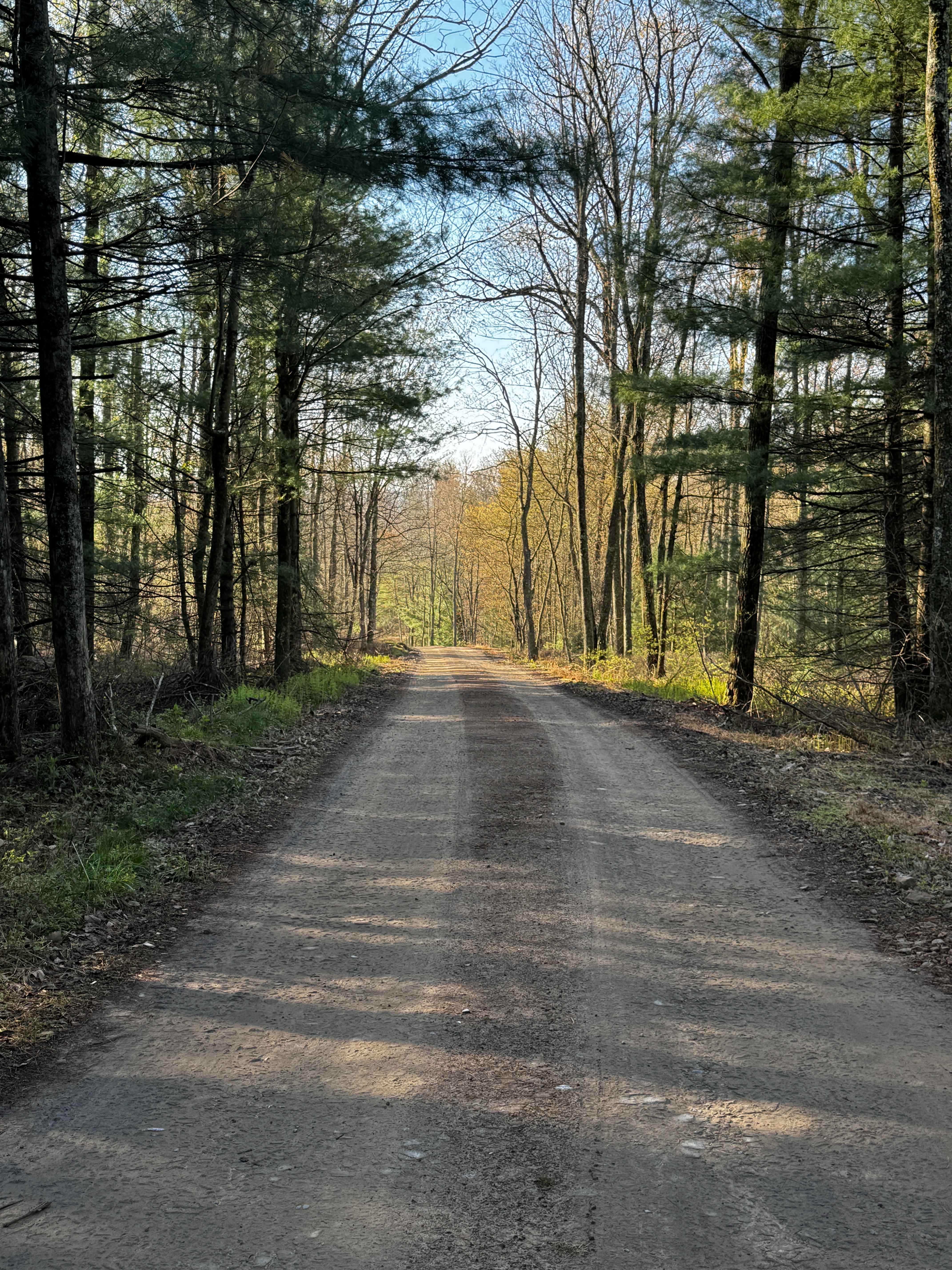 Bailer Run Trail