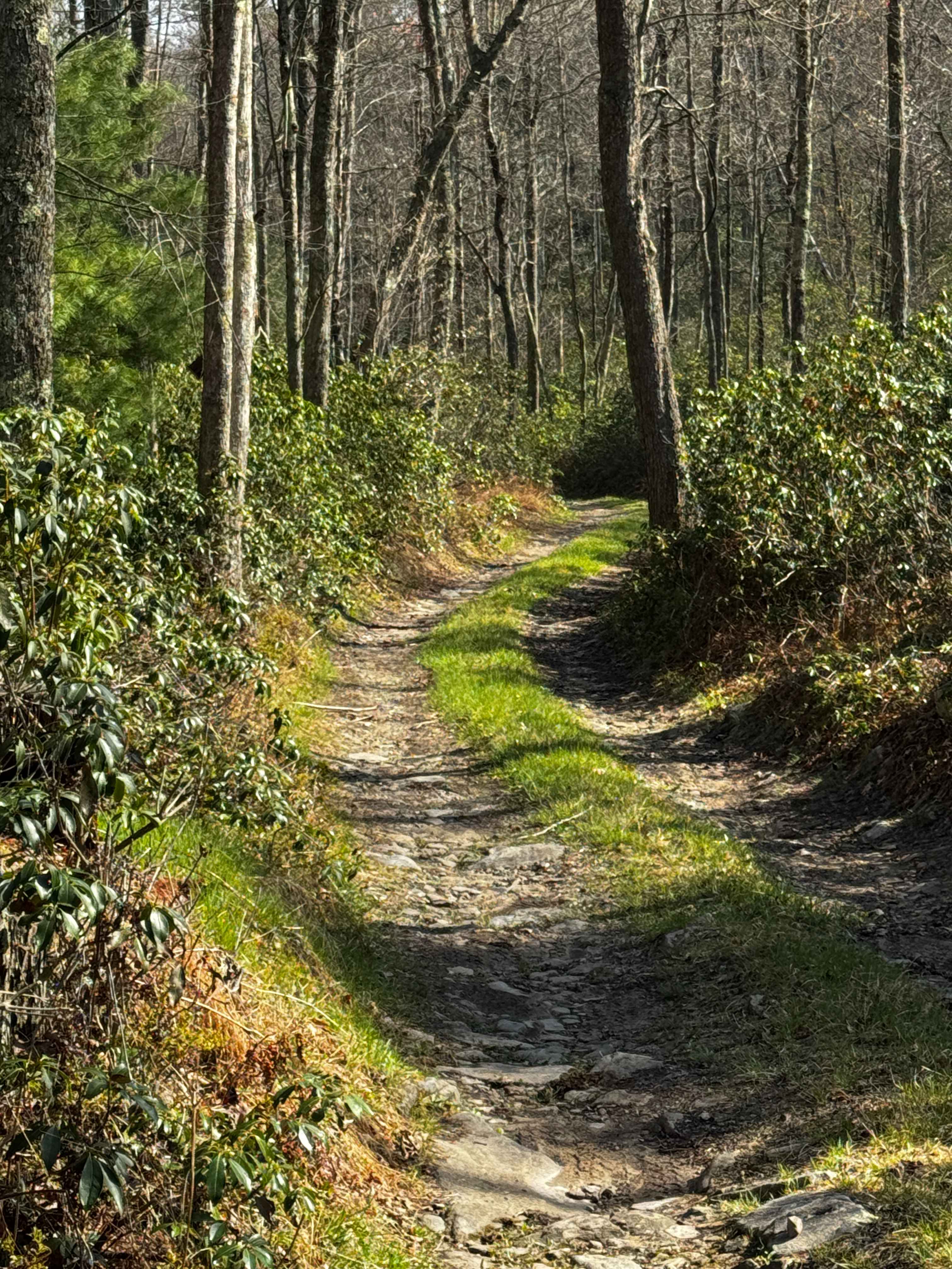 Dishpan Hollow Road