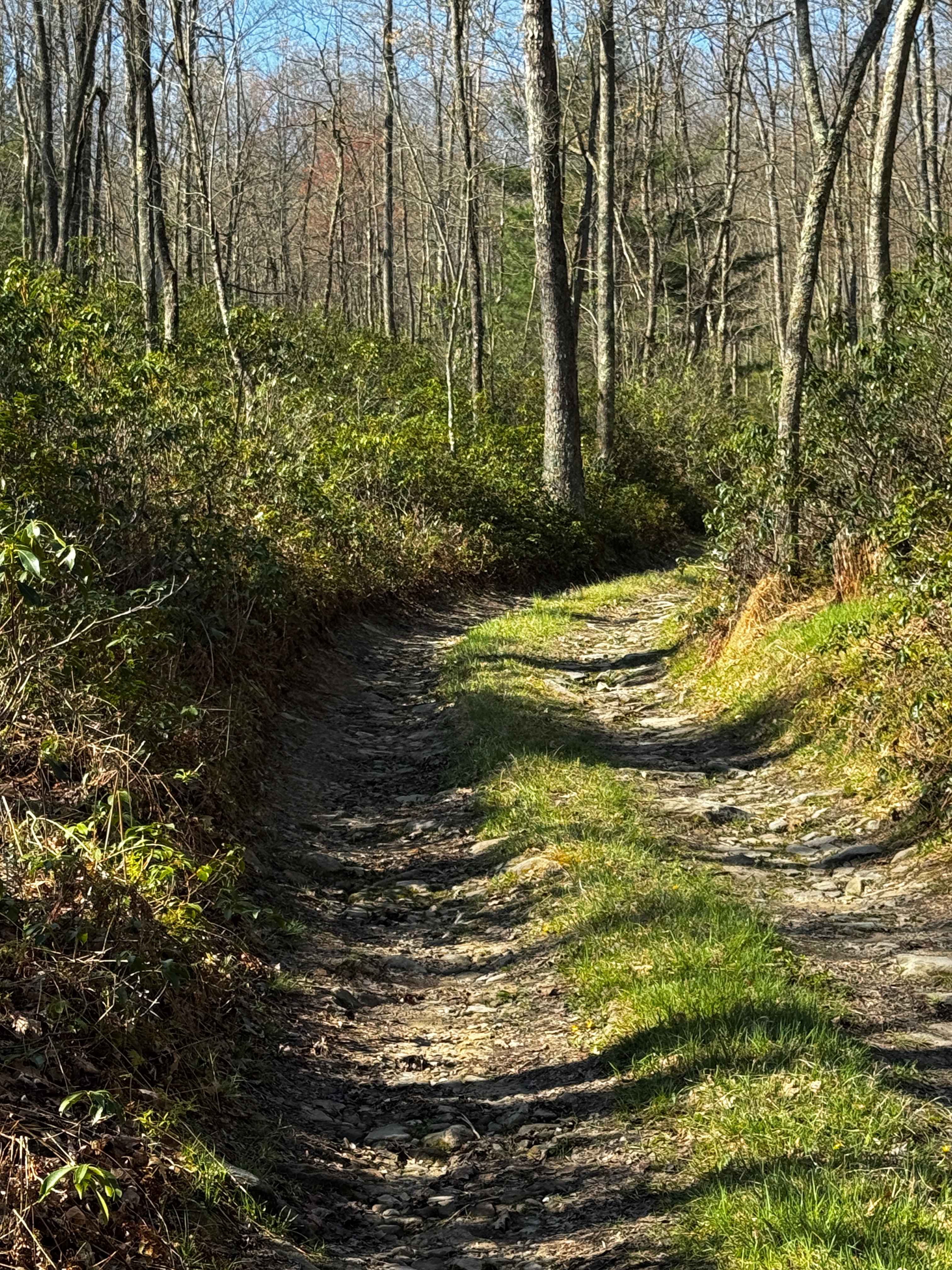 Dishpan Hollow Road