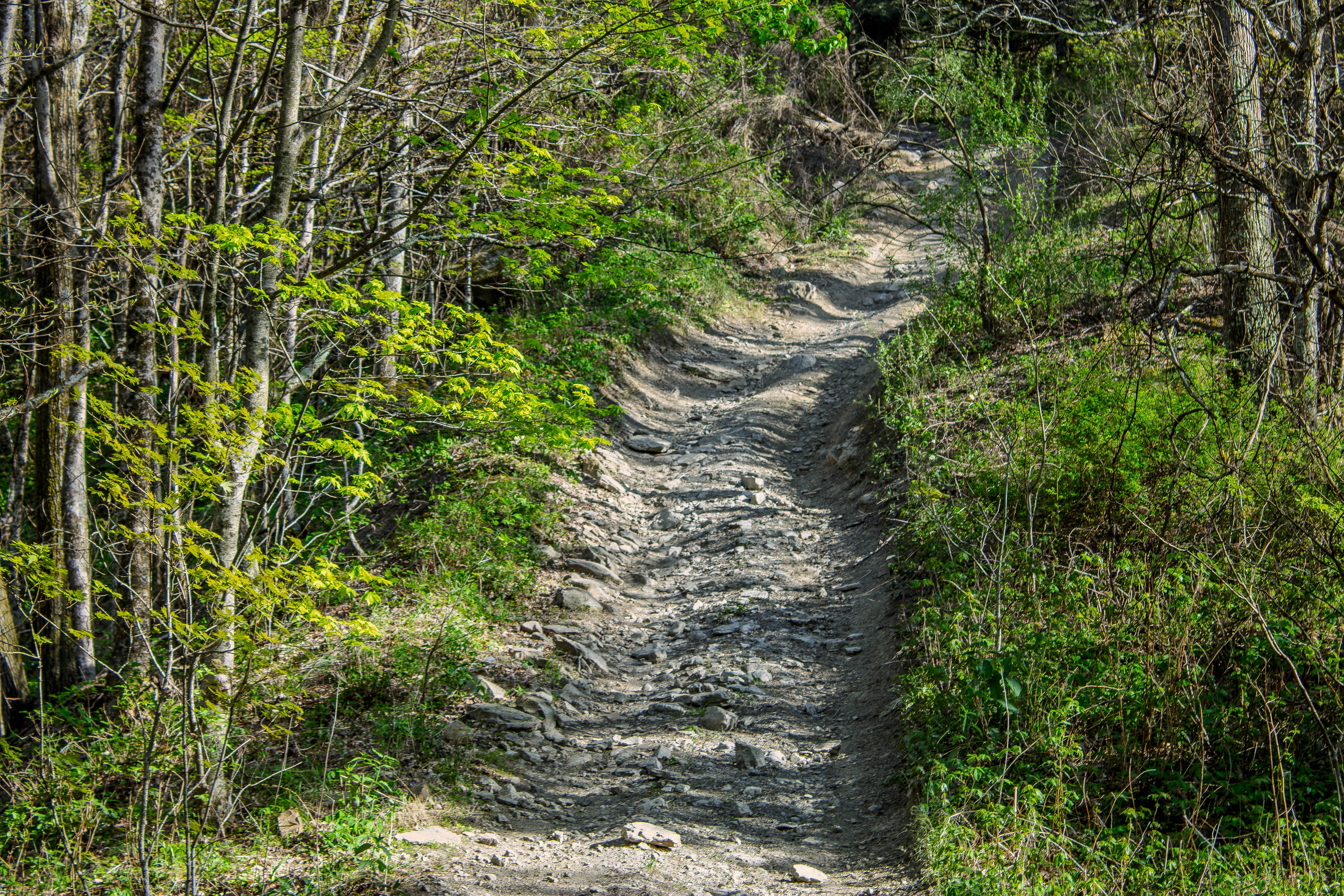 Pipeline Ridge