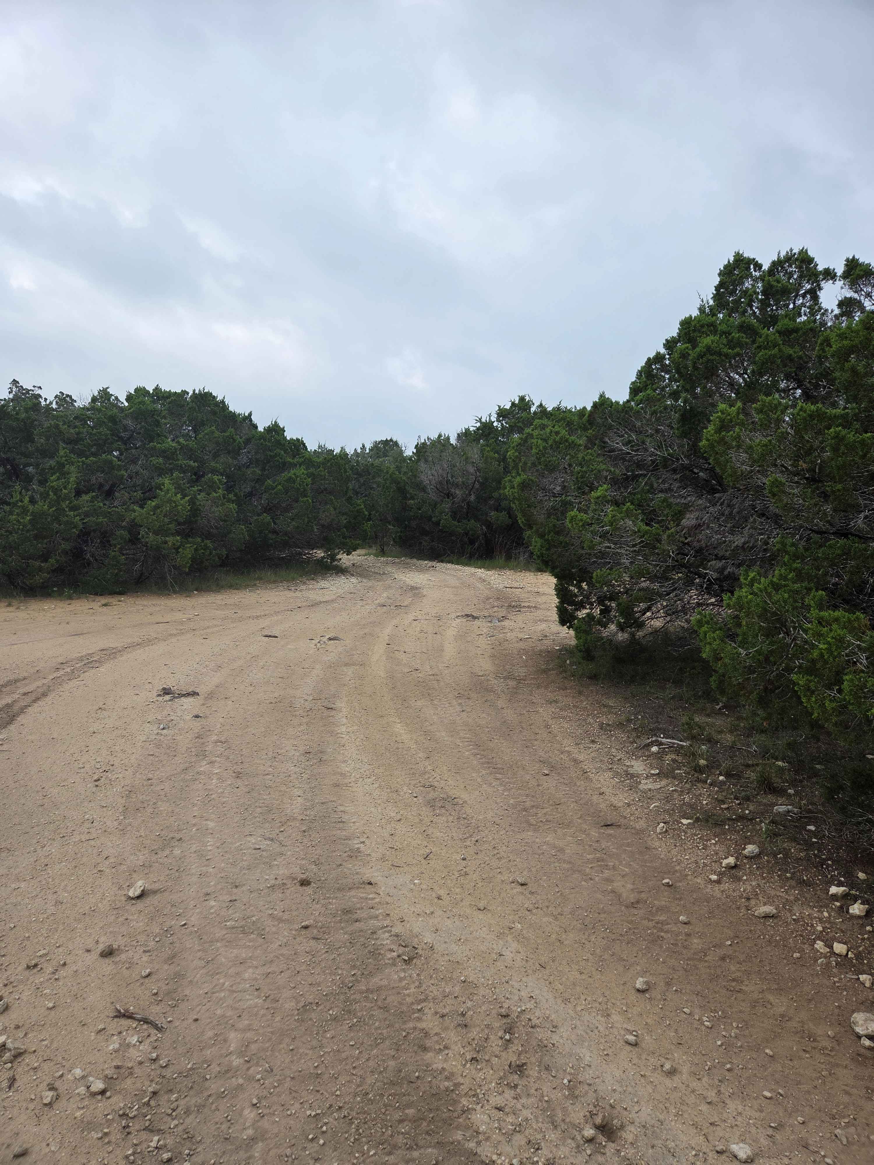 Carnage Canyon