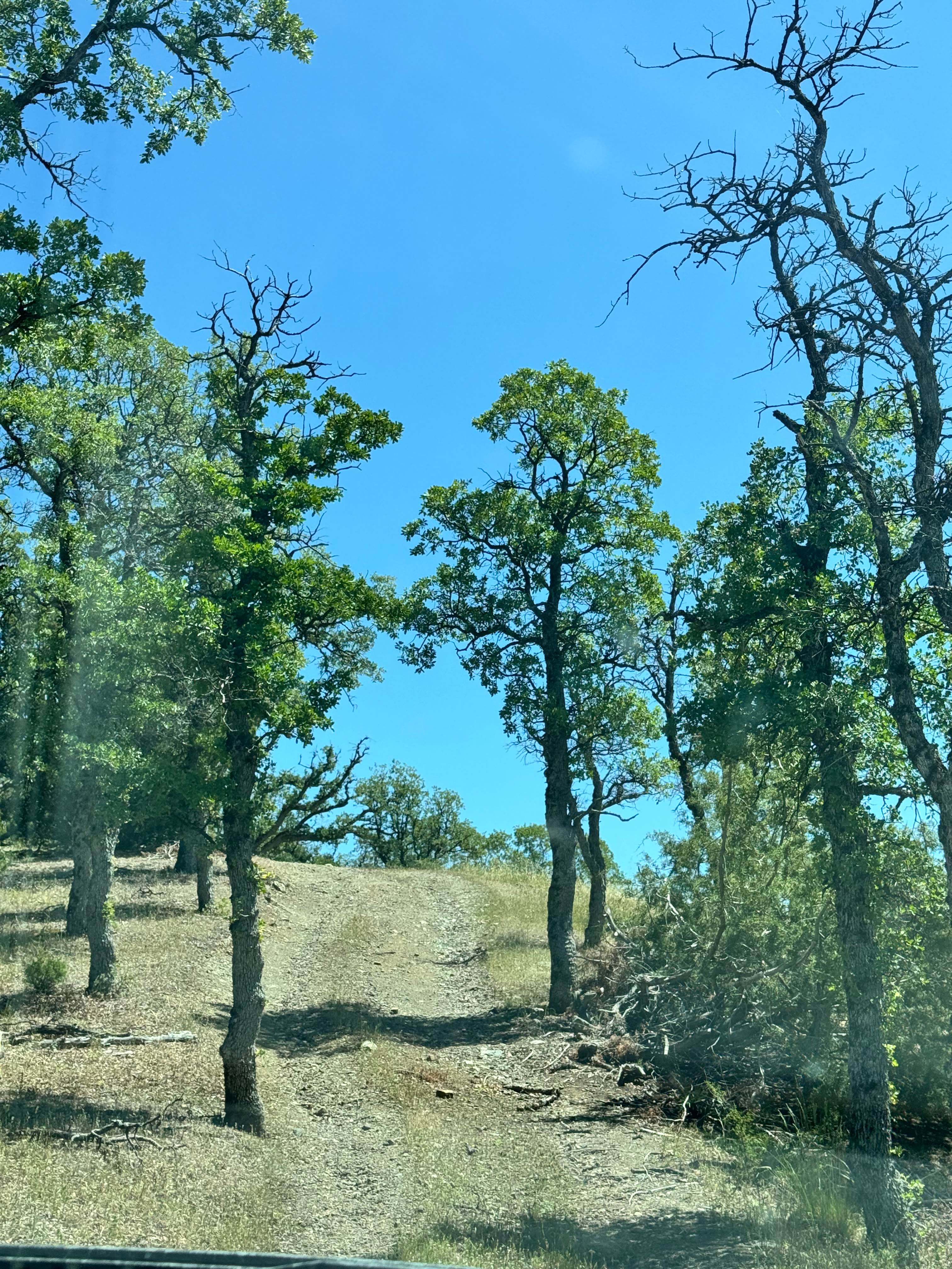 Triplet Butte - 18N02A