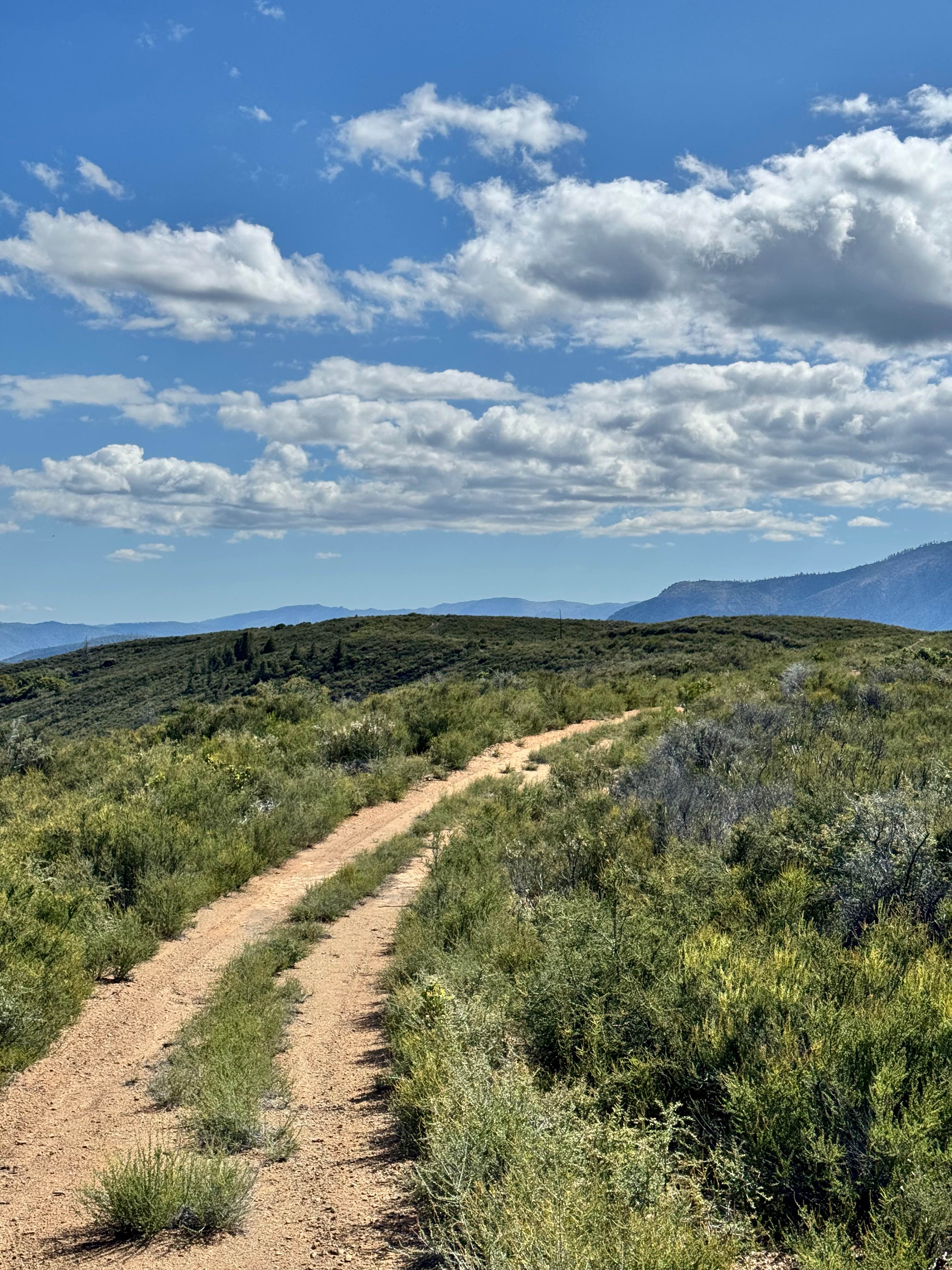 Brushy Ridge - 19N29
