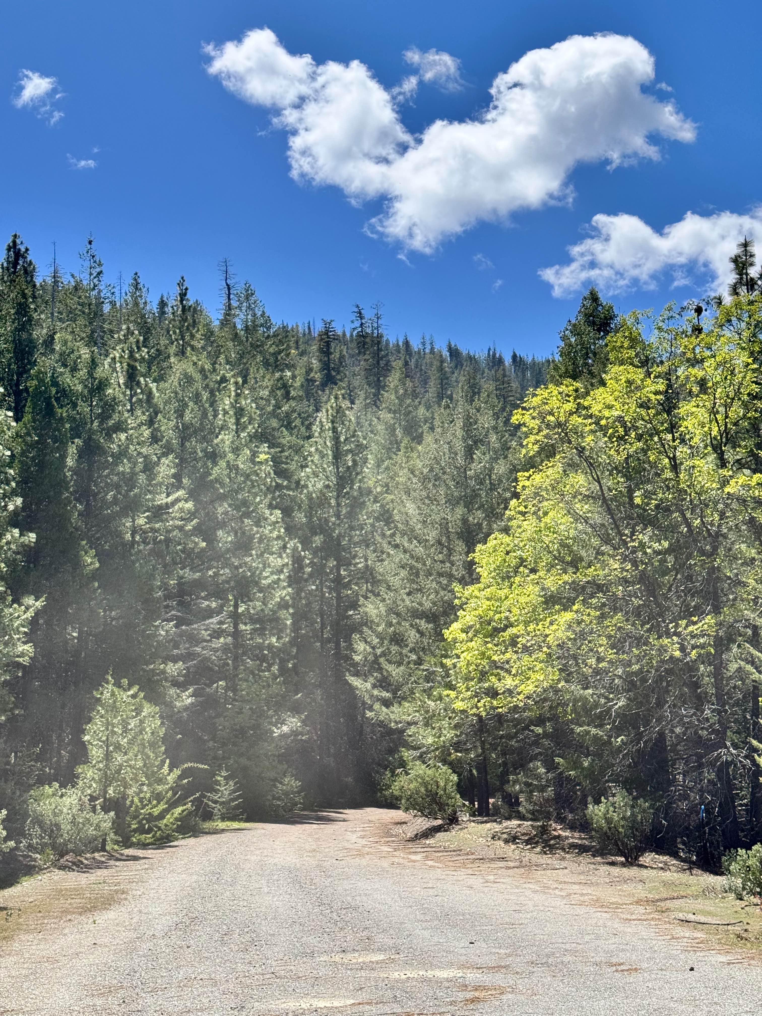 Lower Middle Ridge - FS 21N07