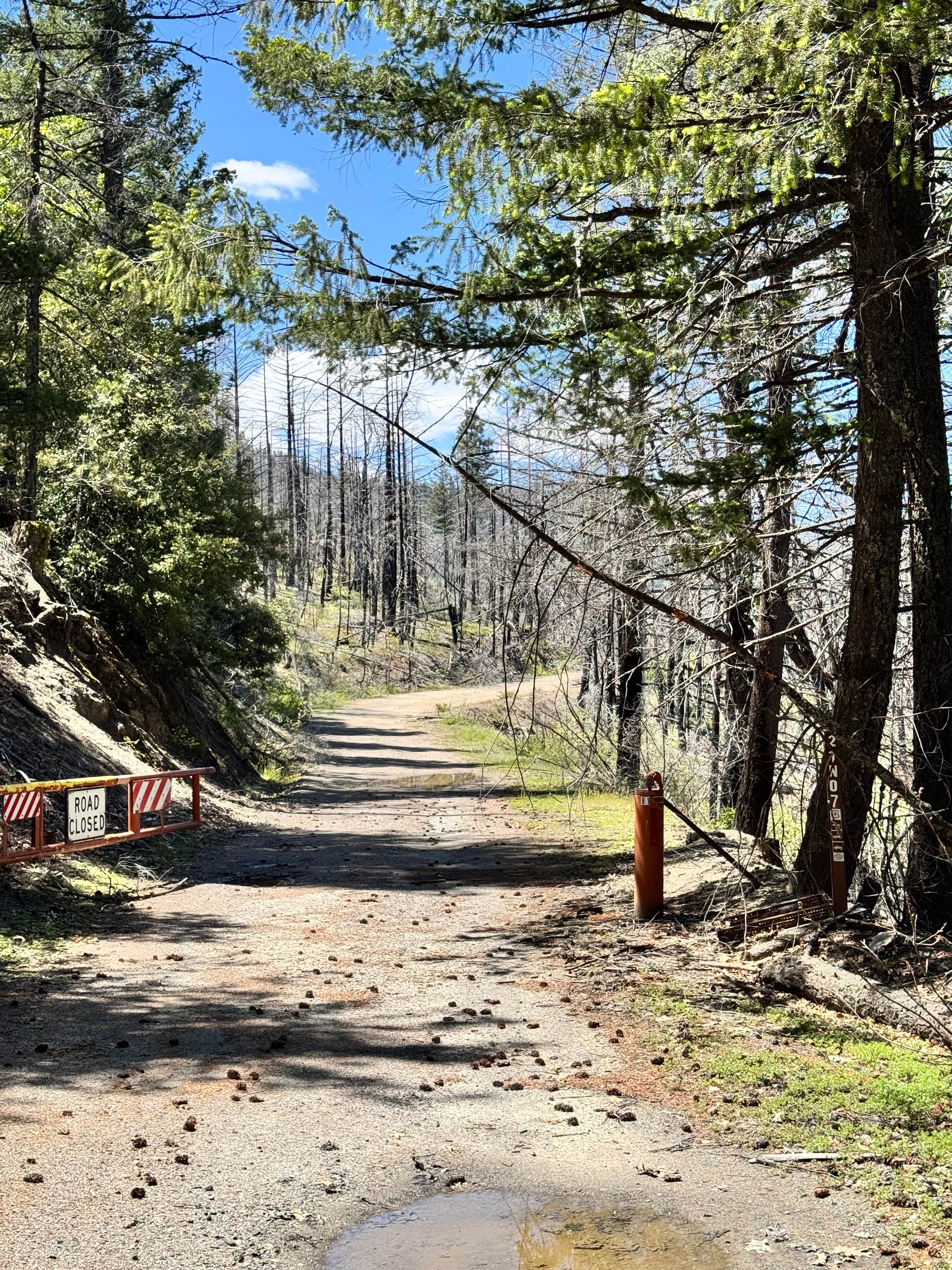 Lower Middle Ridge - FS 21N07