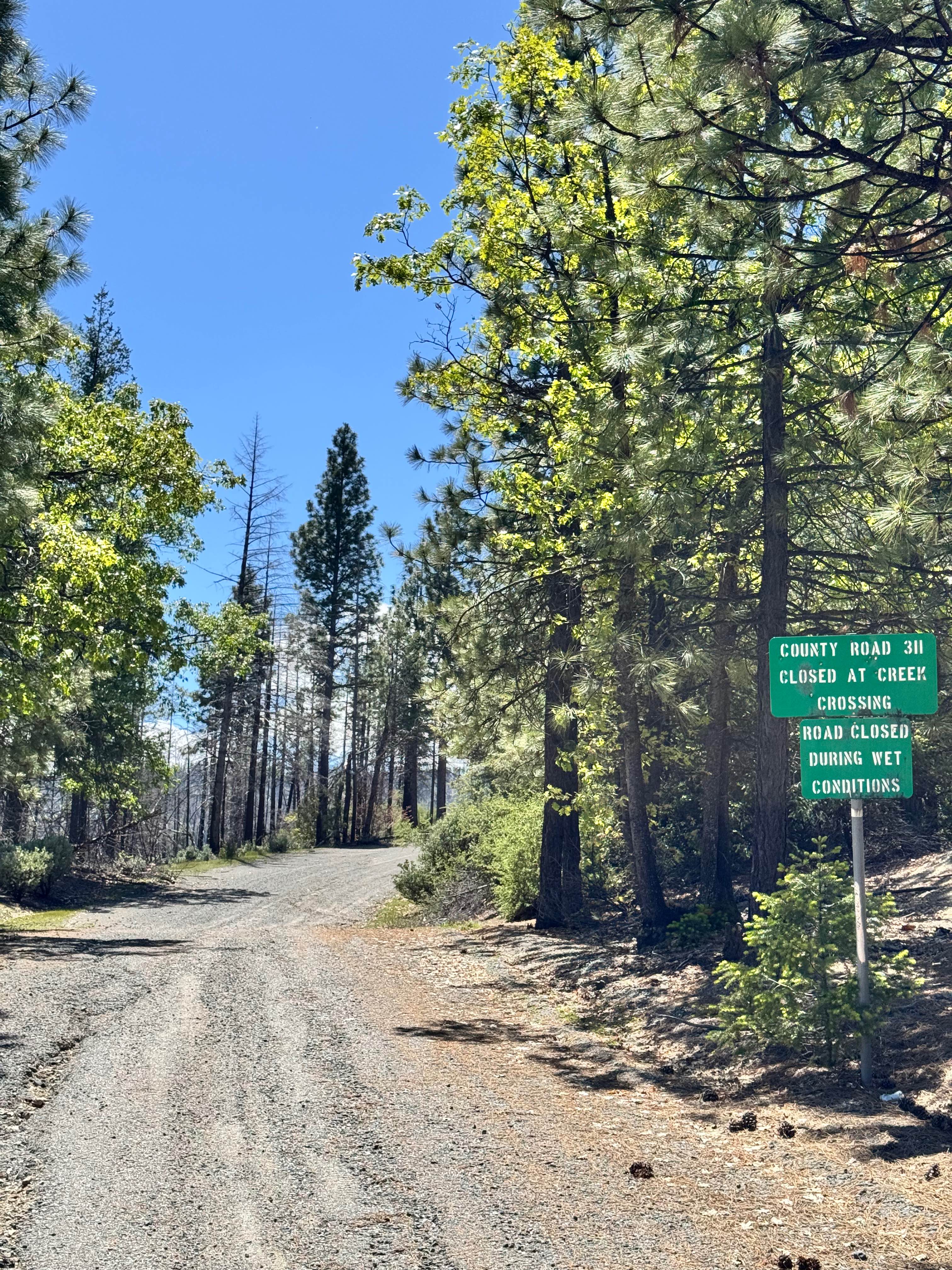 Road 311