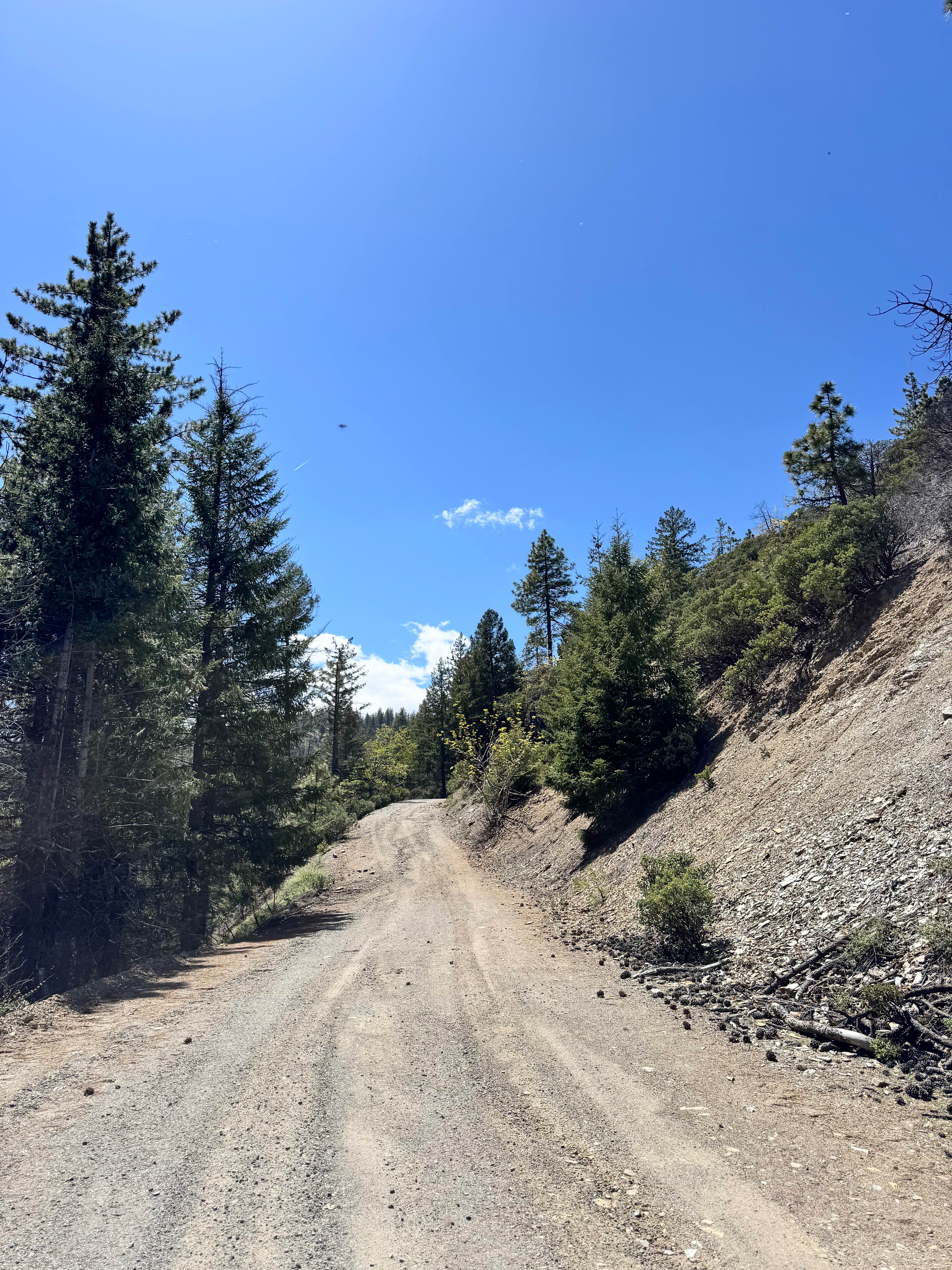 Road 311