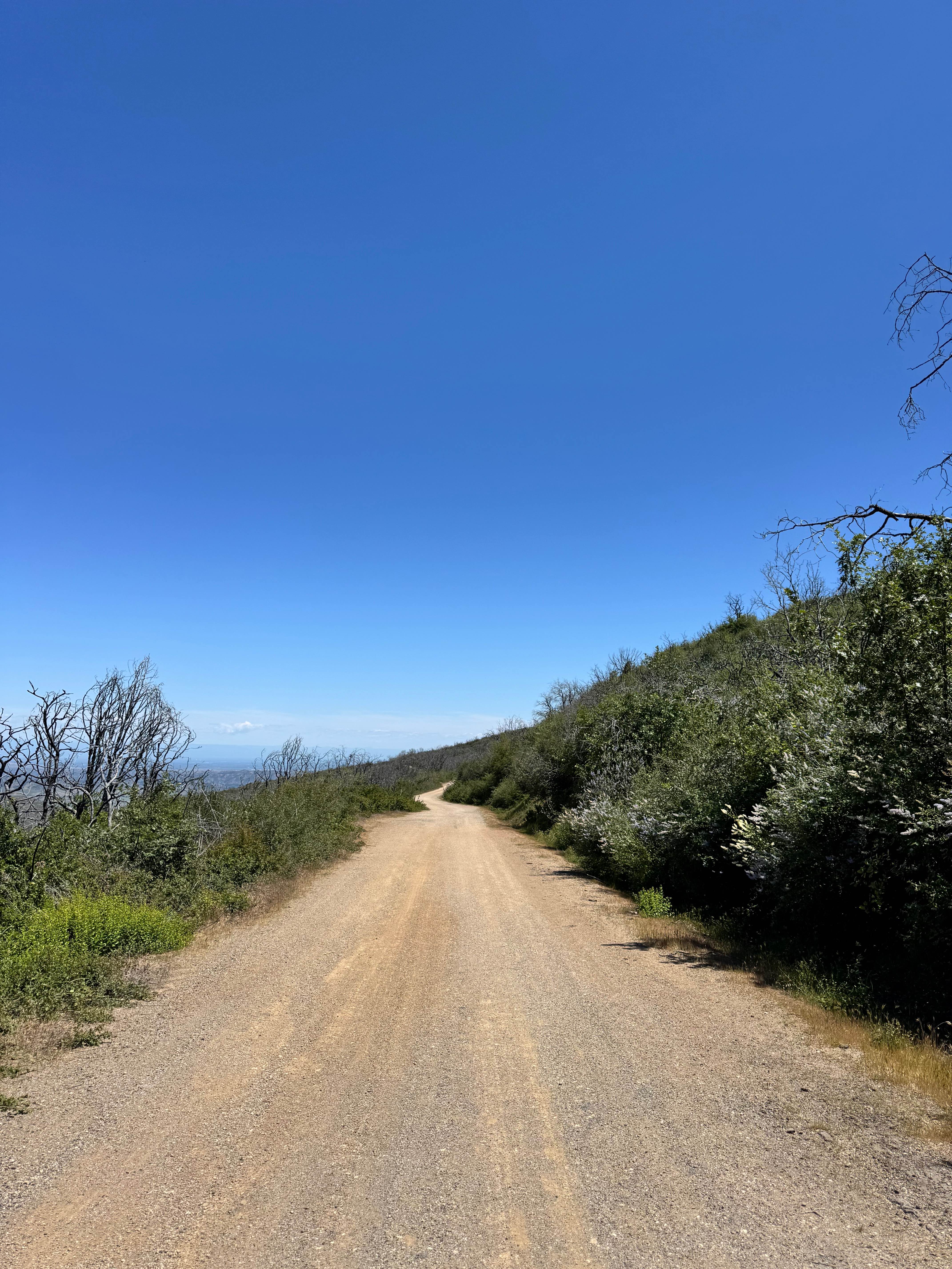 Road 307