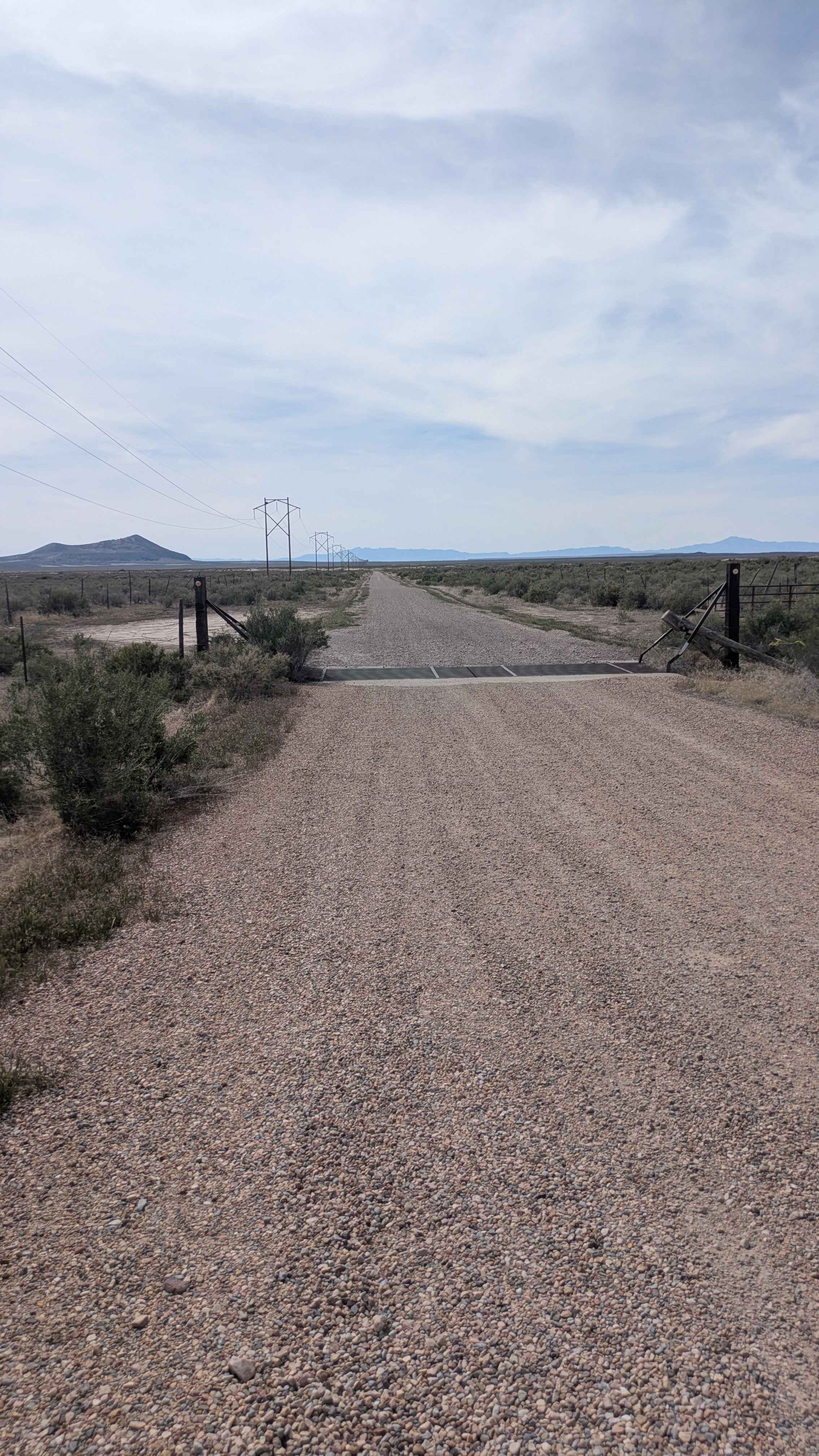 Sheep Trail Road