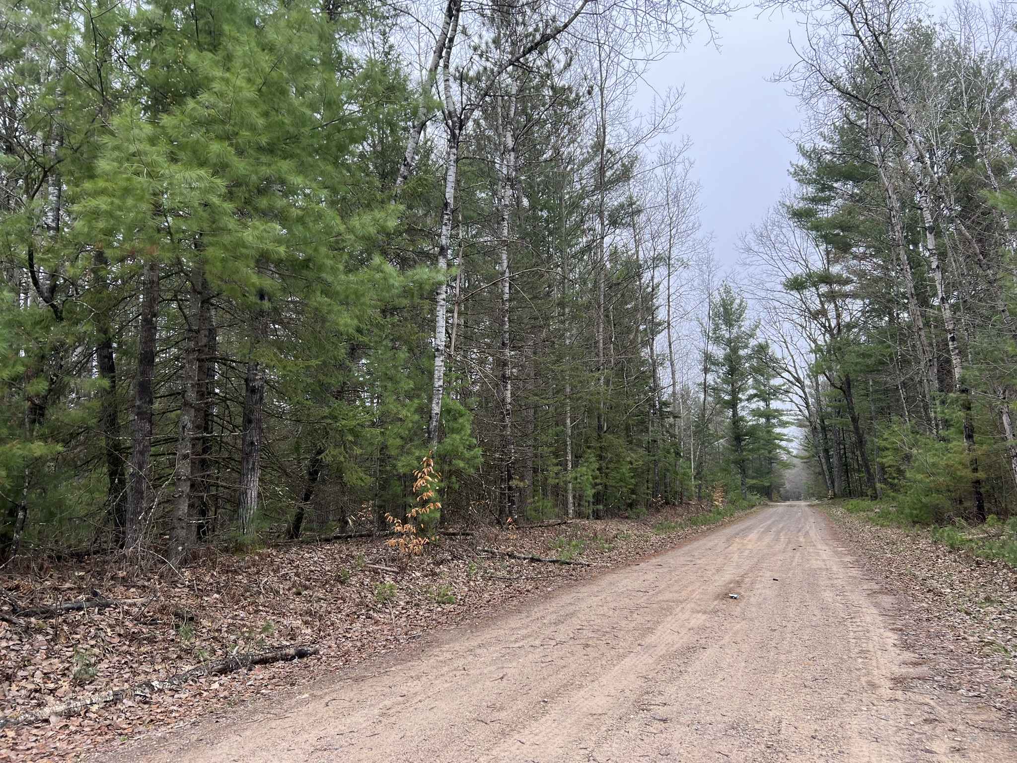McCauley Creek Road - FS 2321