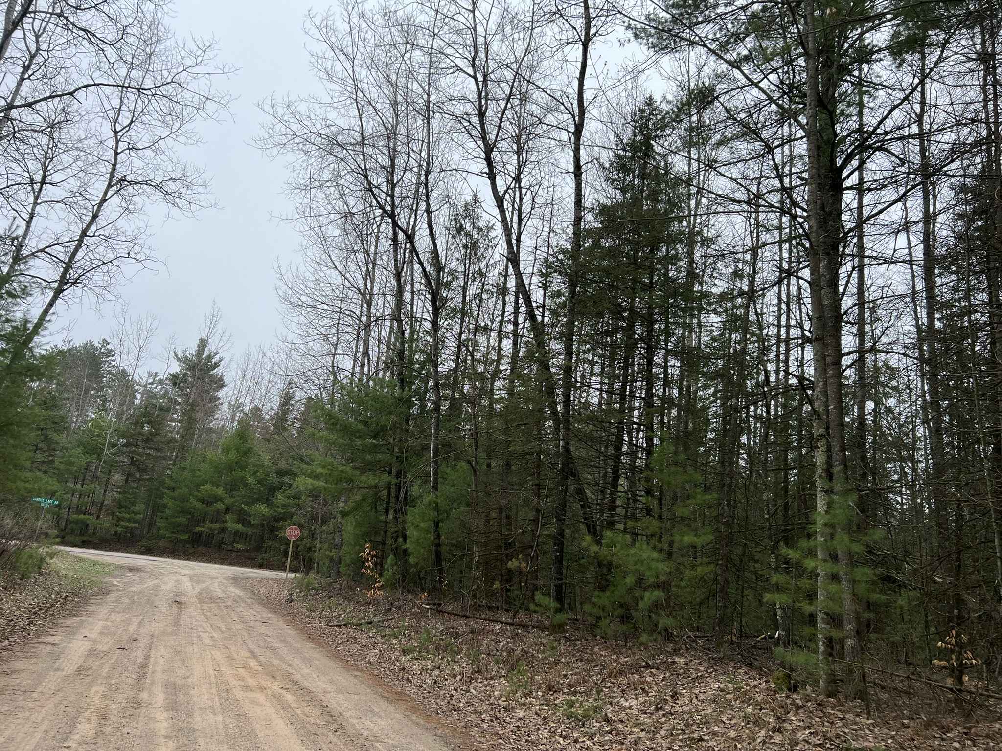 McCauley Creek Road - FS 2321