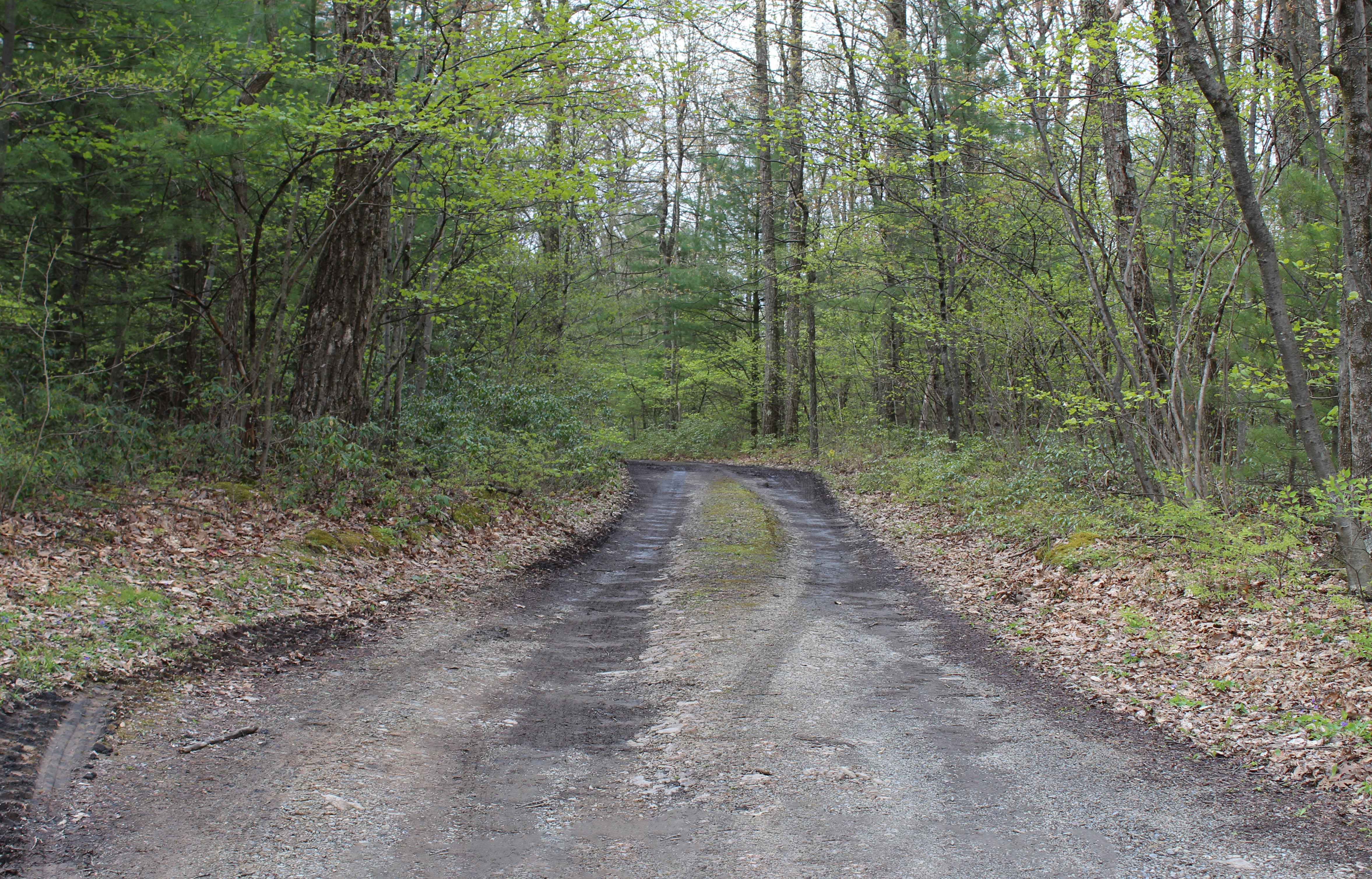Kratzer Road