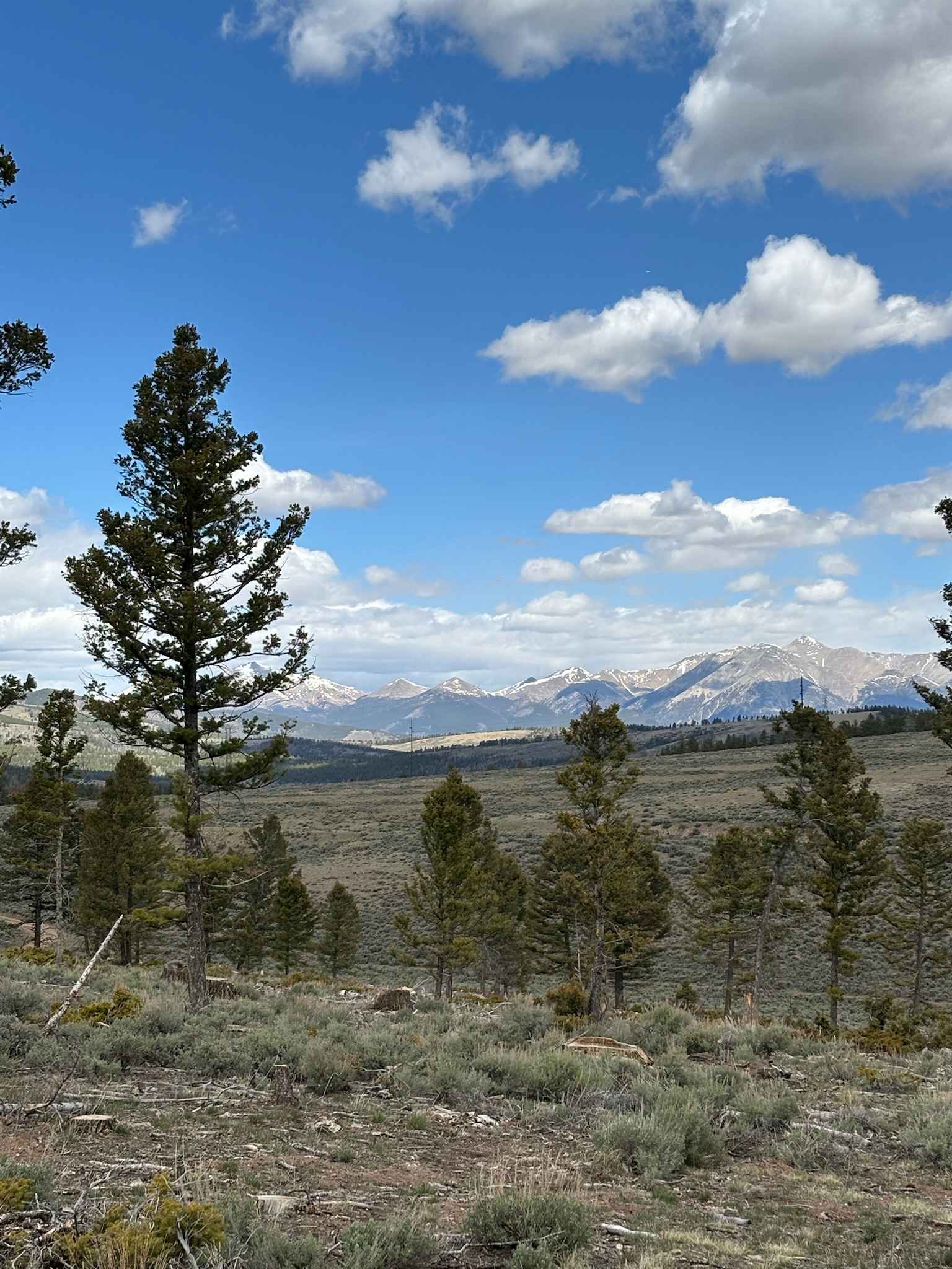 Shirley Road