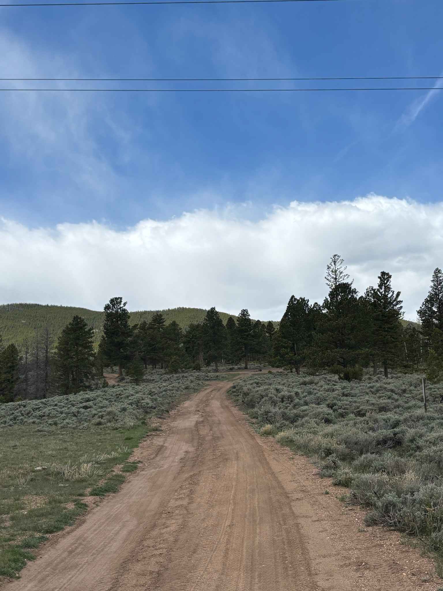 Velvet Buck Road