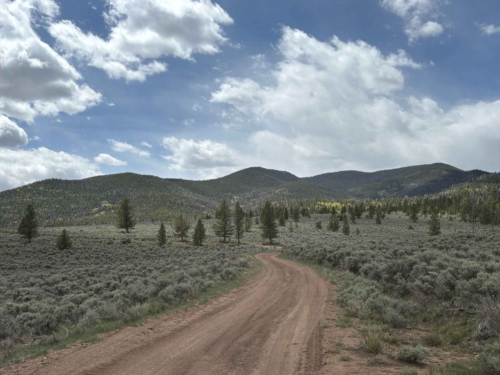 Clover Creek Road