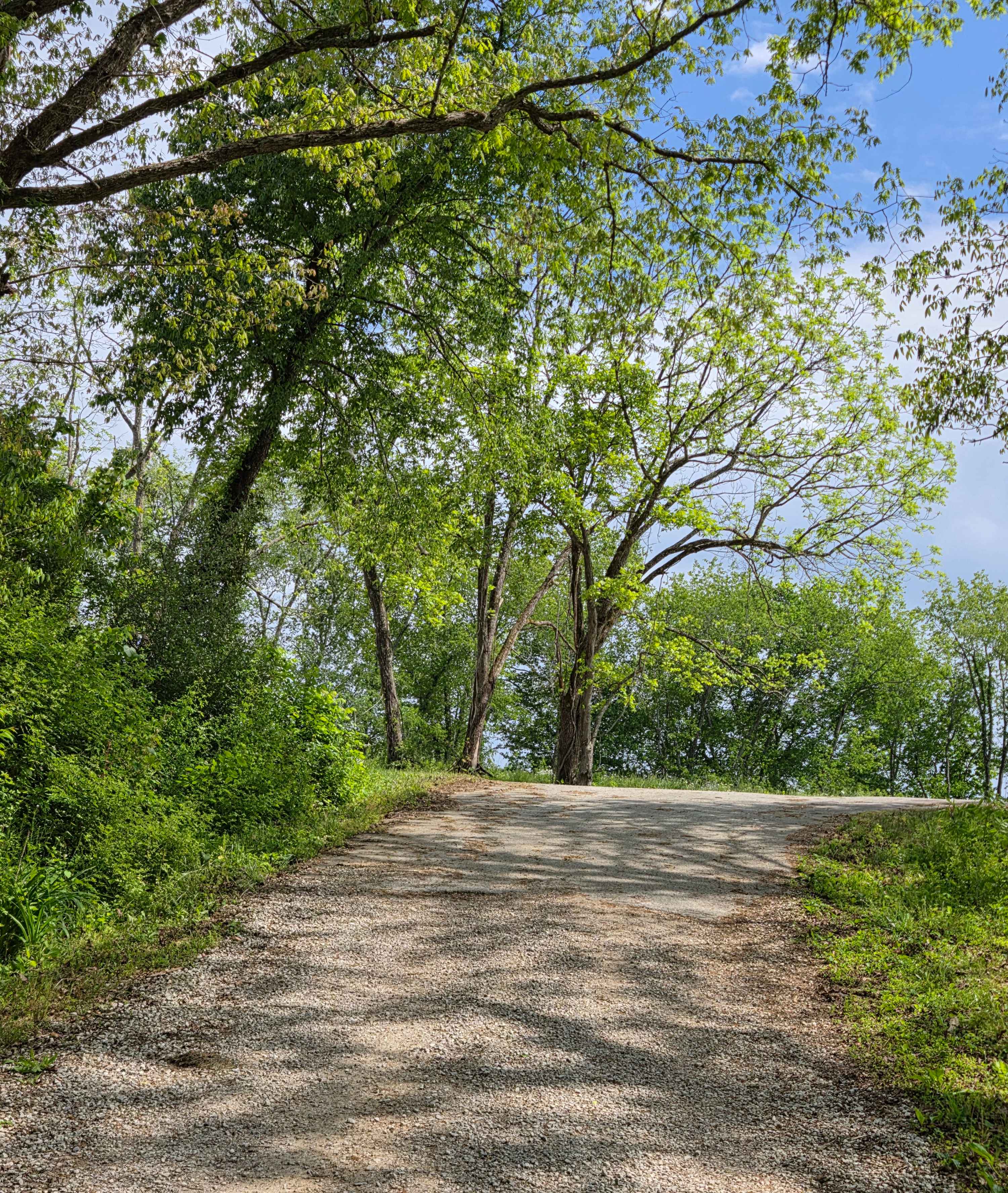 Pierson Road