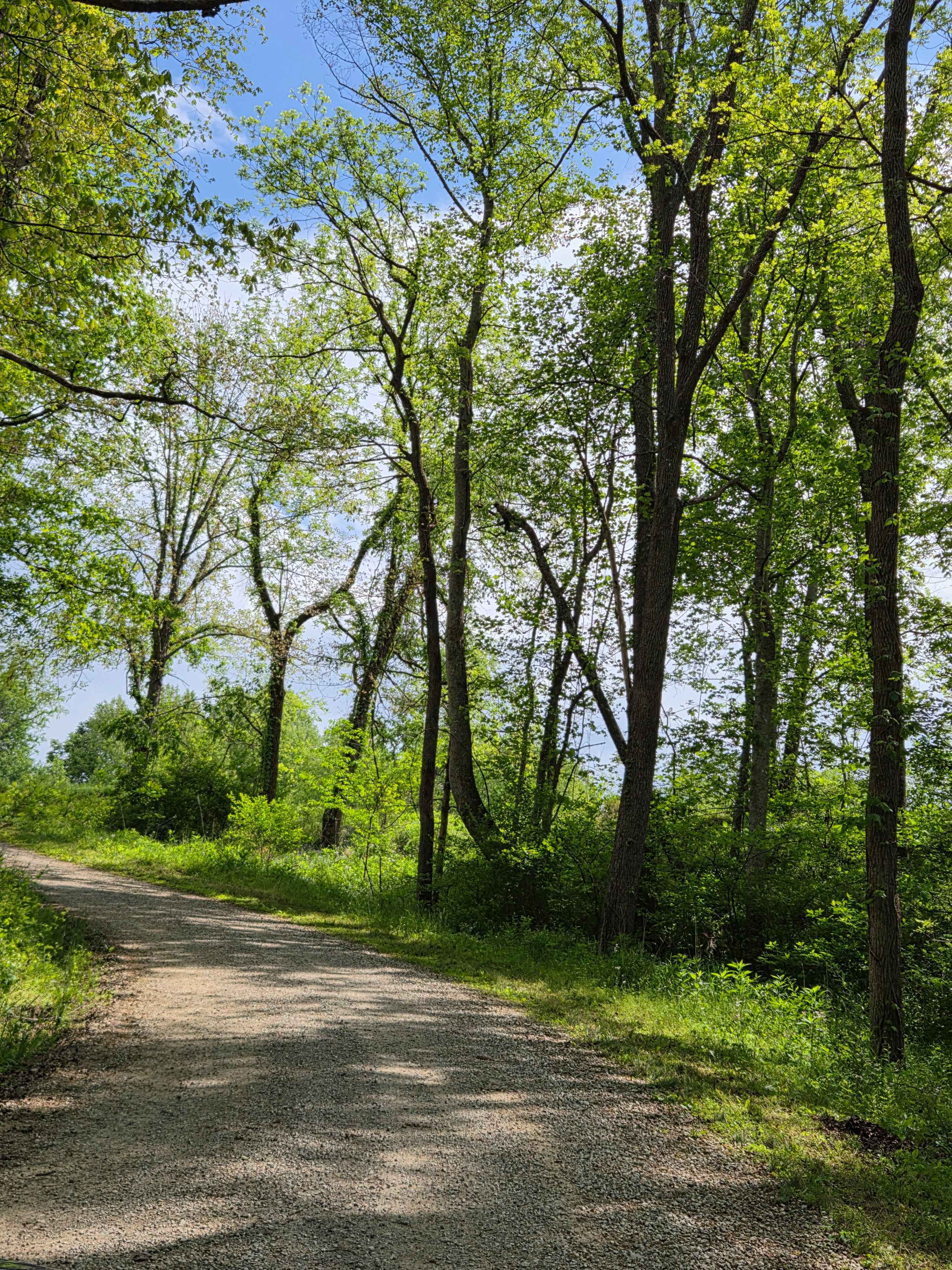 Pierson Road