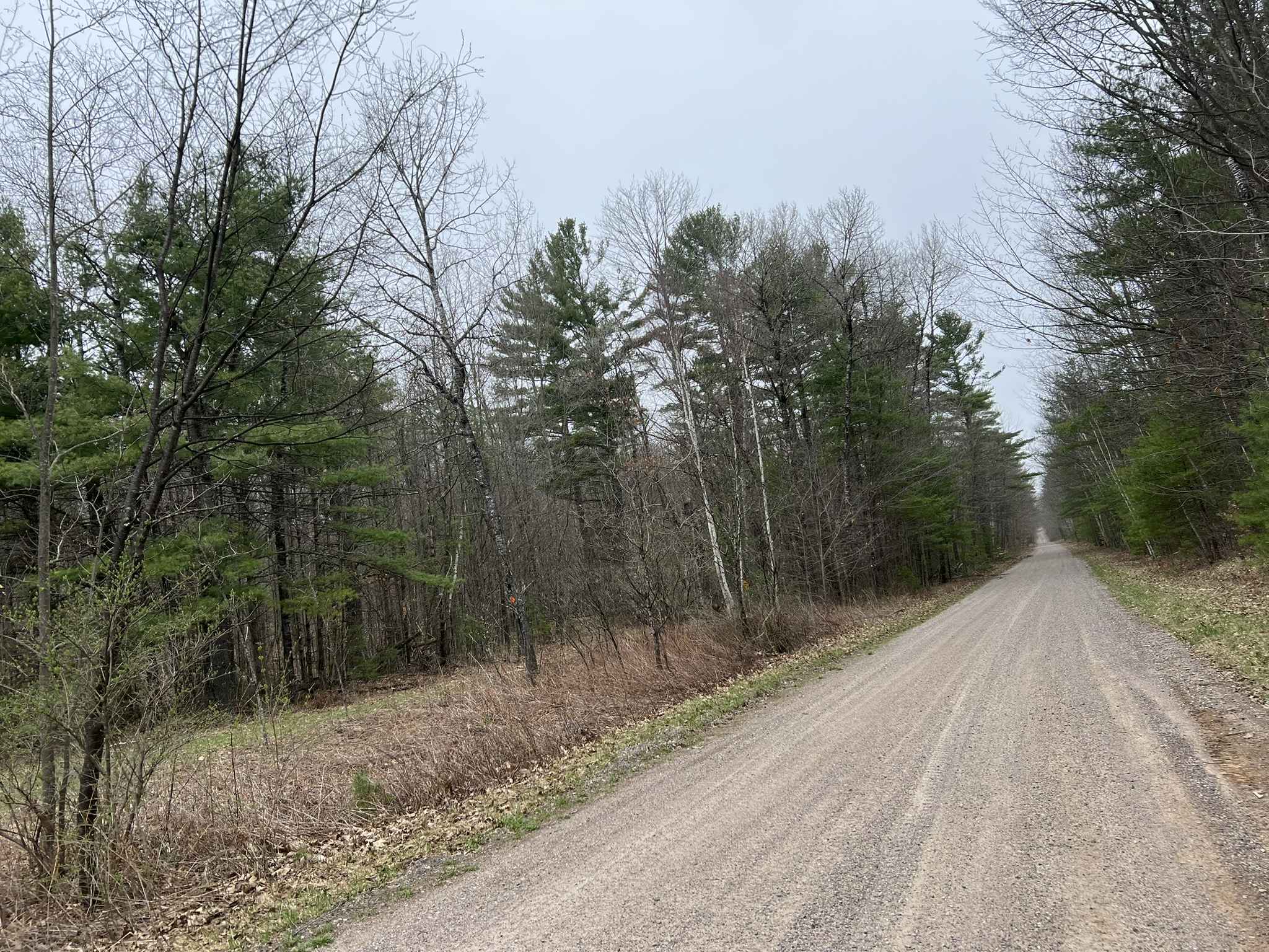 Sullivan Springs Road - FS 2330