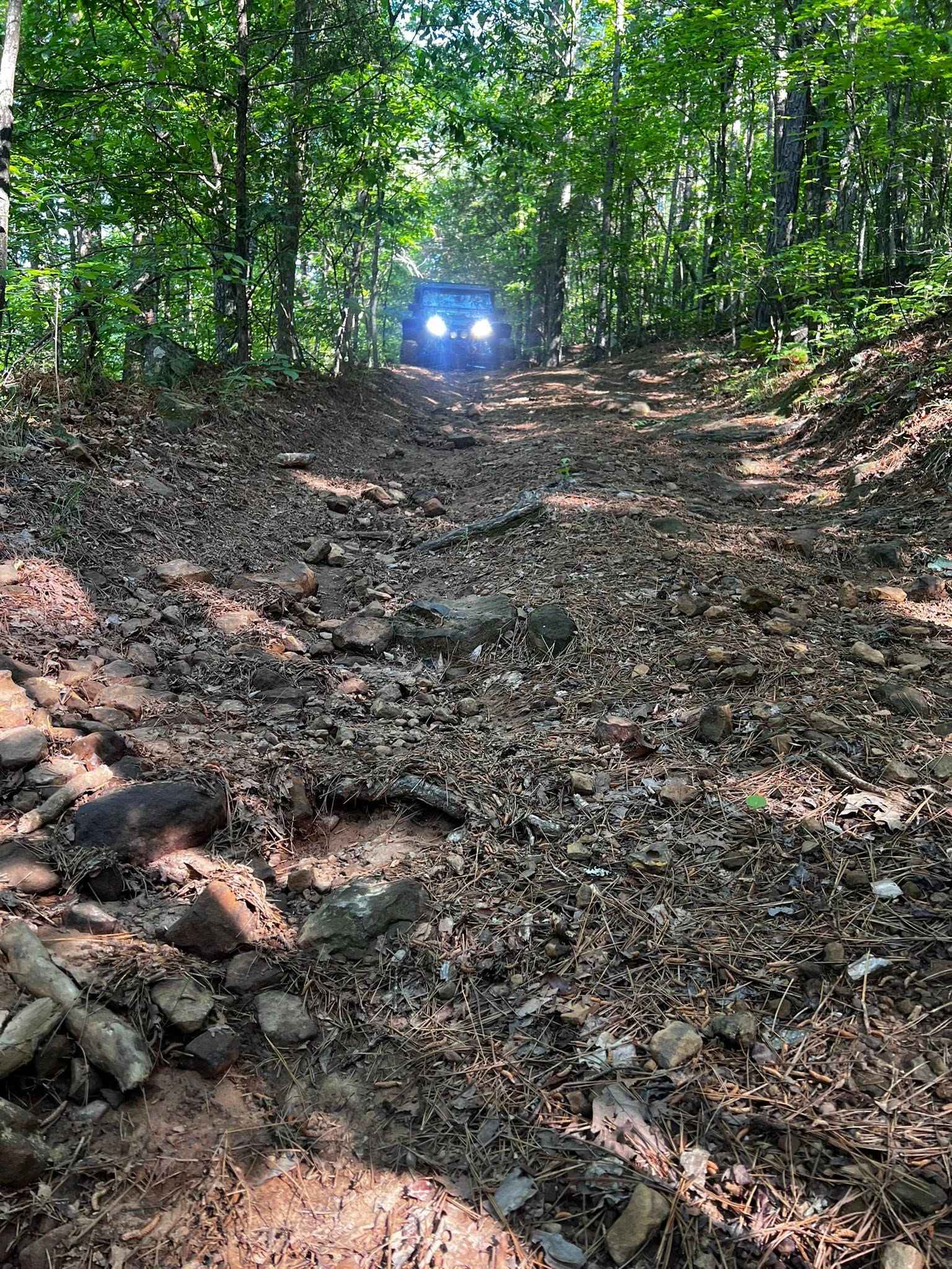 NFS 93053A Bear Hollow