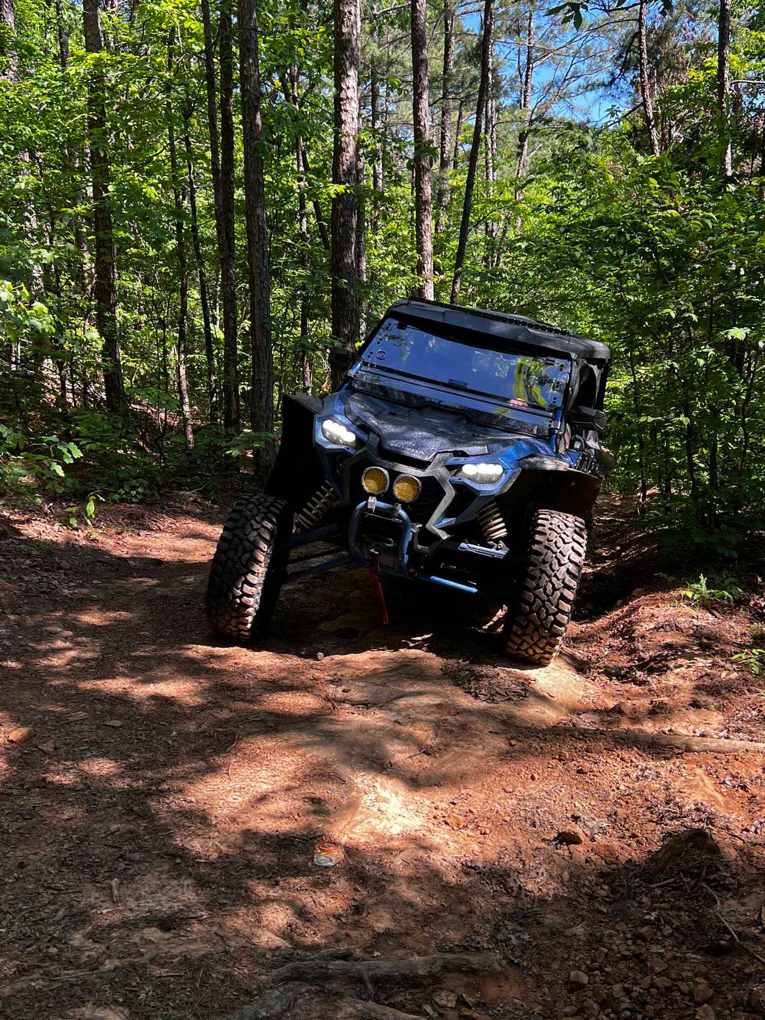 NFS 93053A Bear Hollow