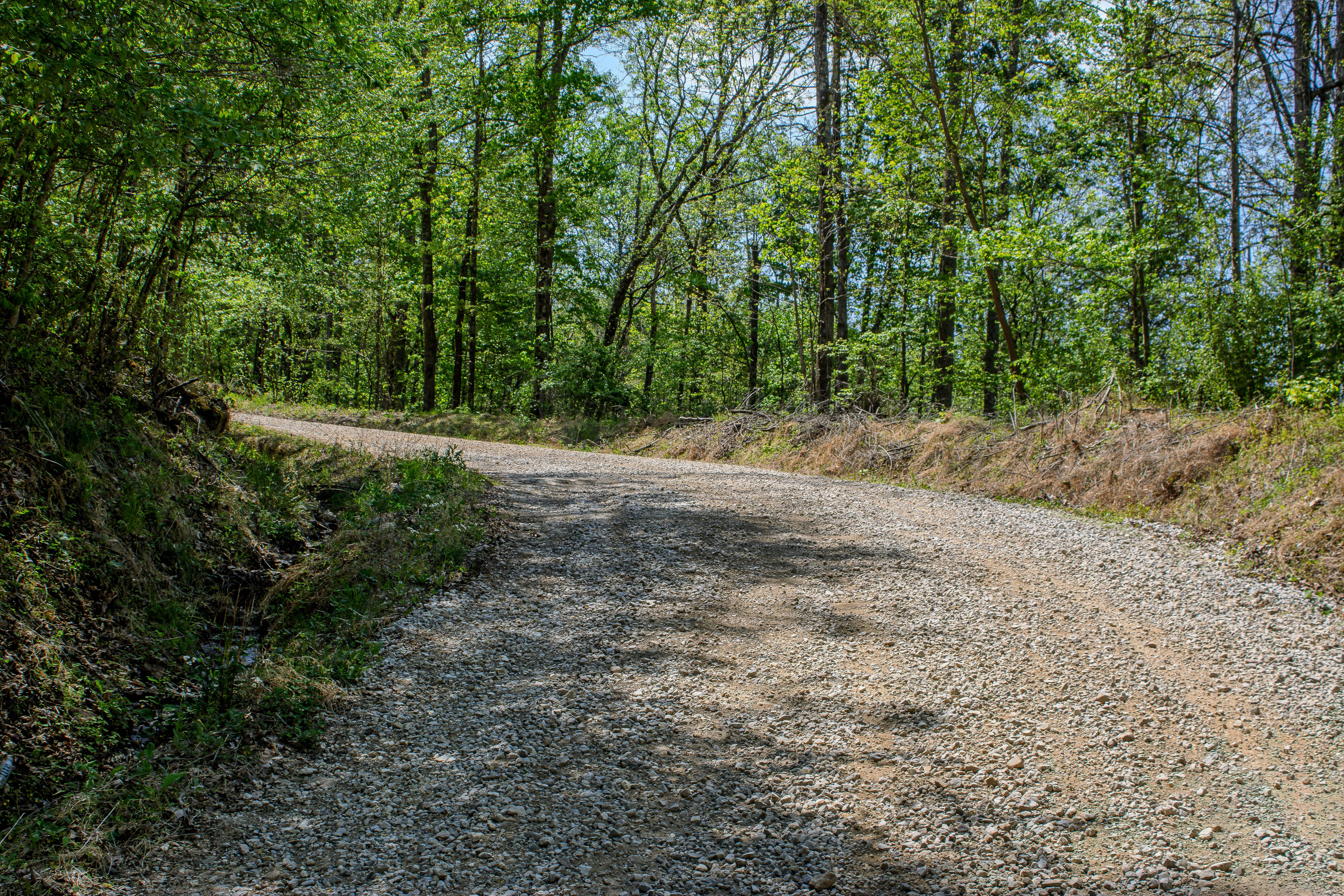 Coal Haul Road
