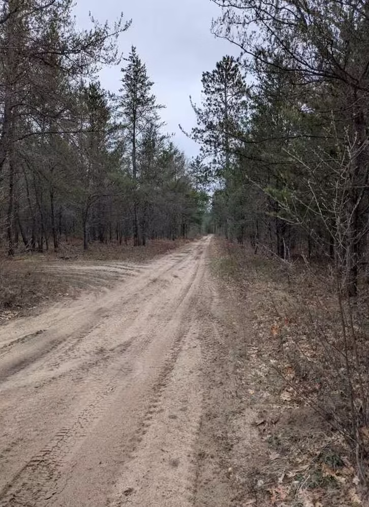 Osceola Trail South