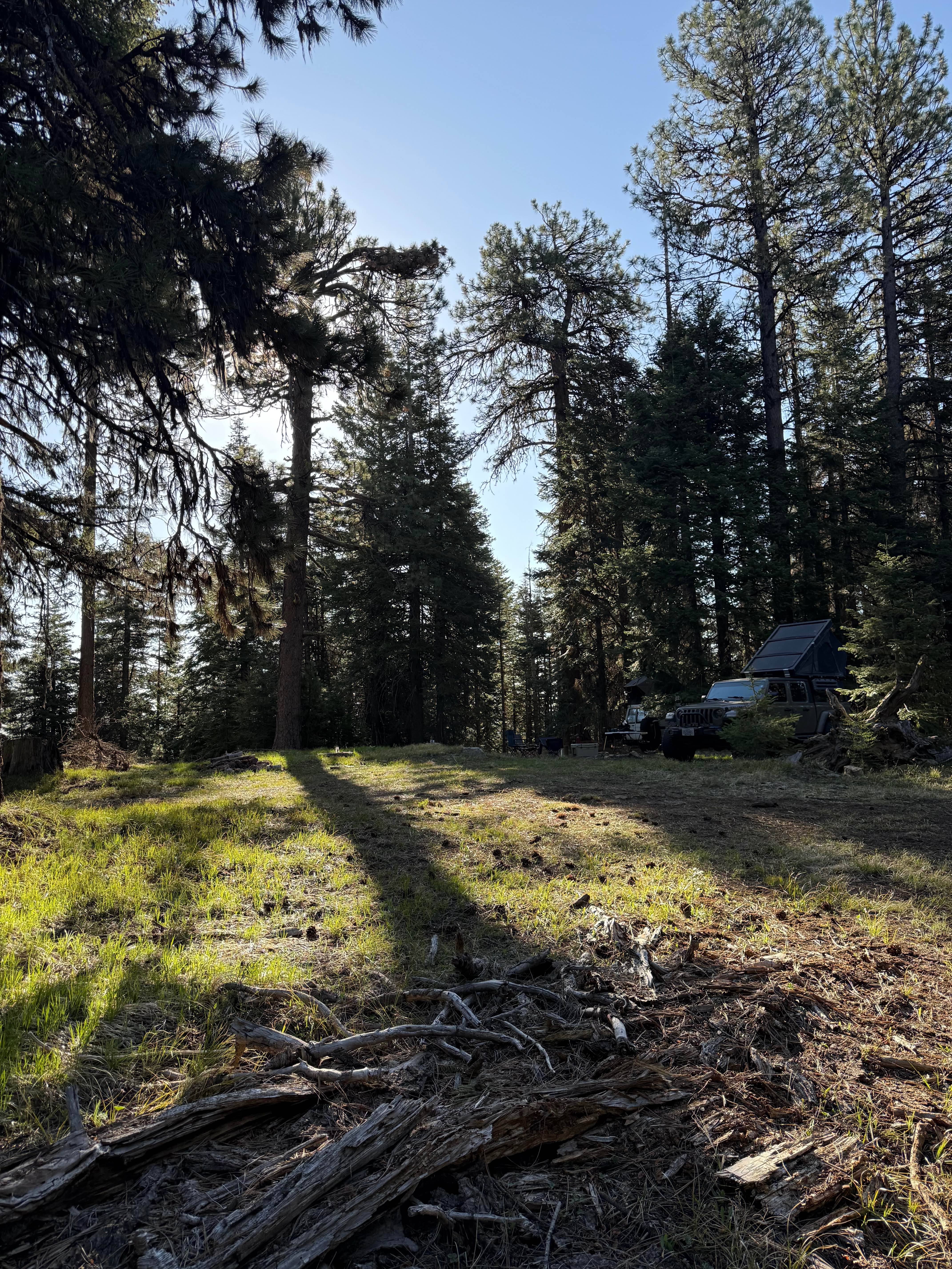 Wildcat Mountain Trail - FS 3350