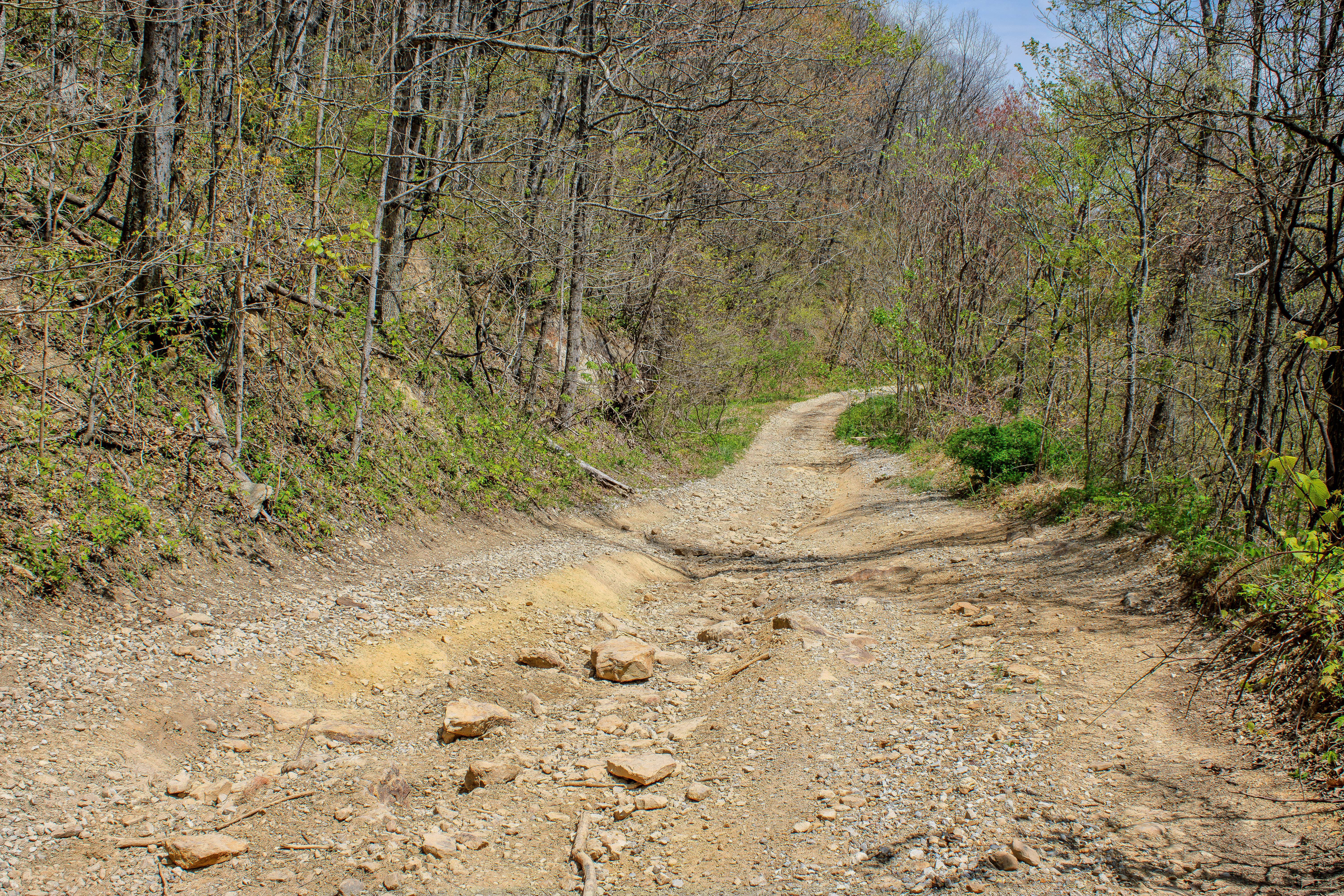 GS1 Trail