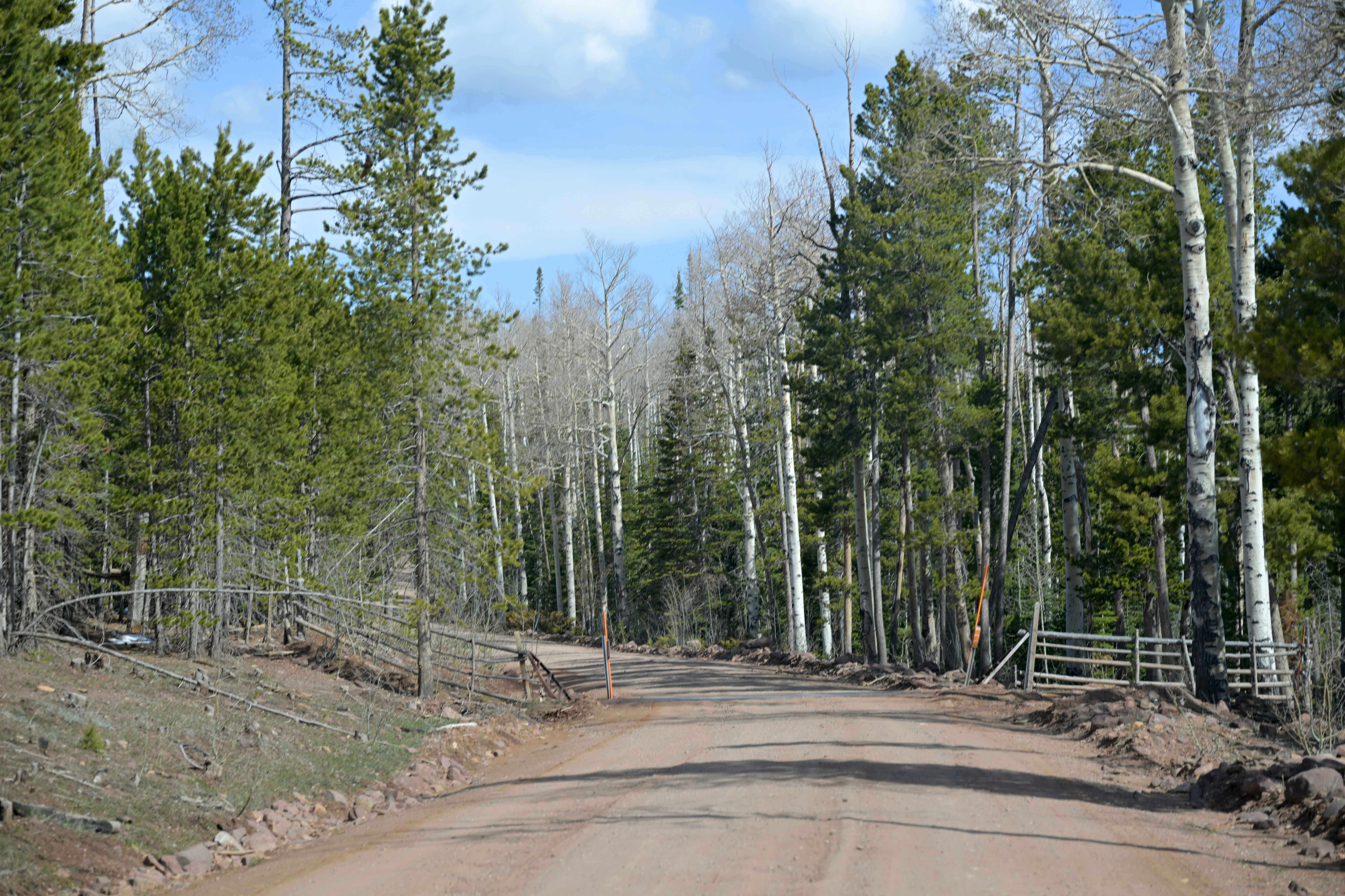Taylor Mountain Road - FS 10044