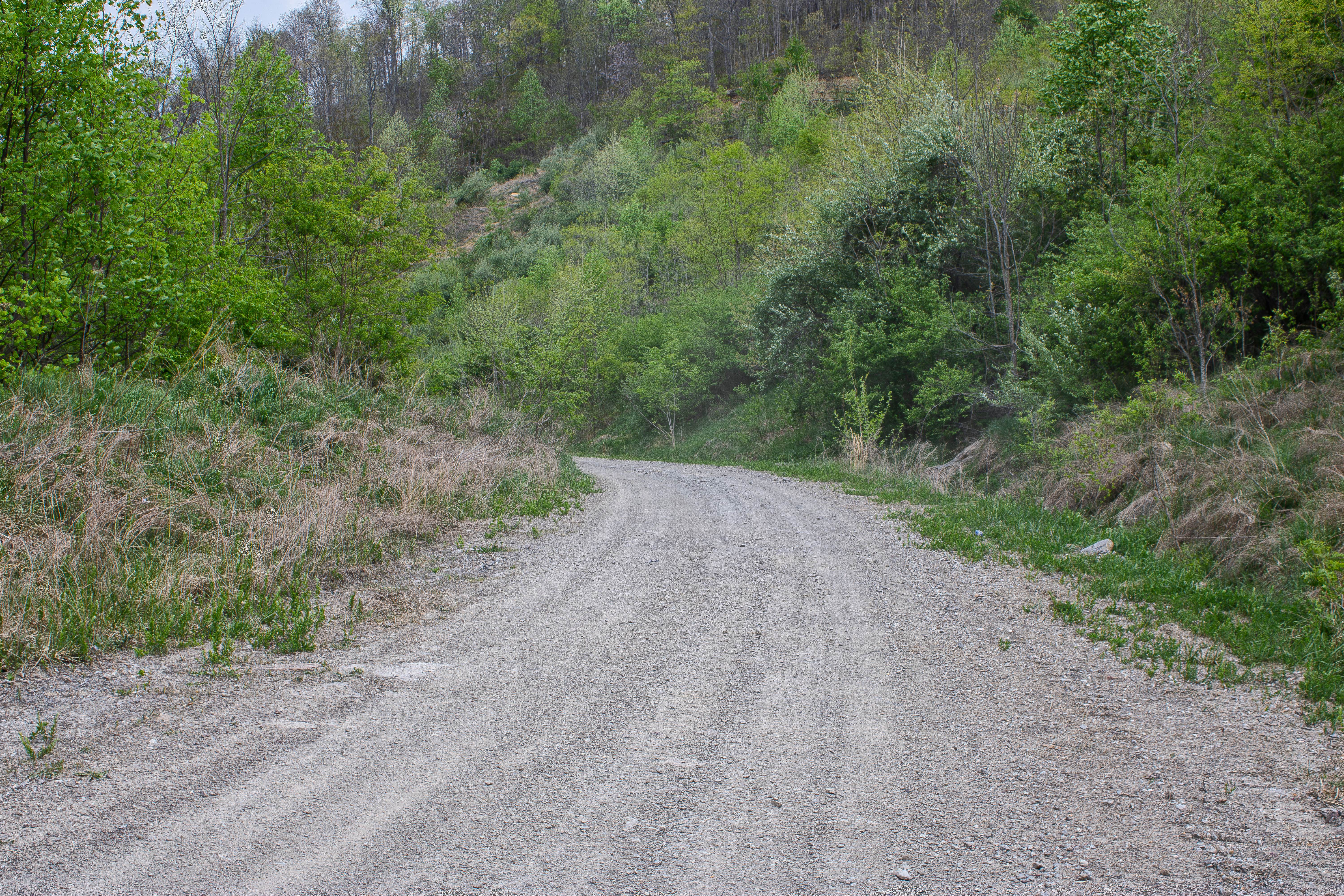 S8 Road