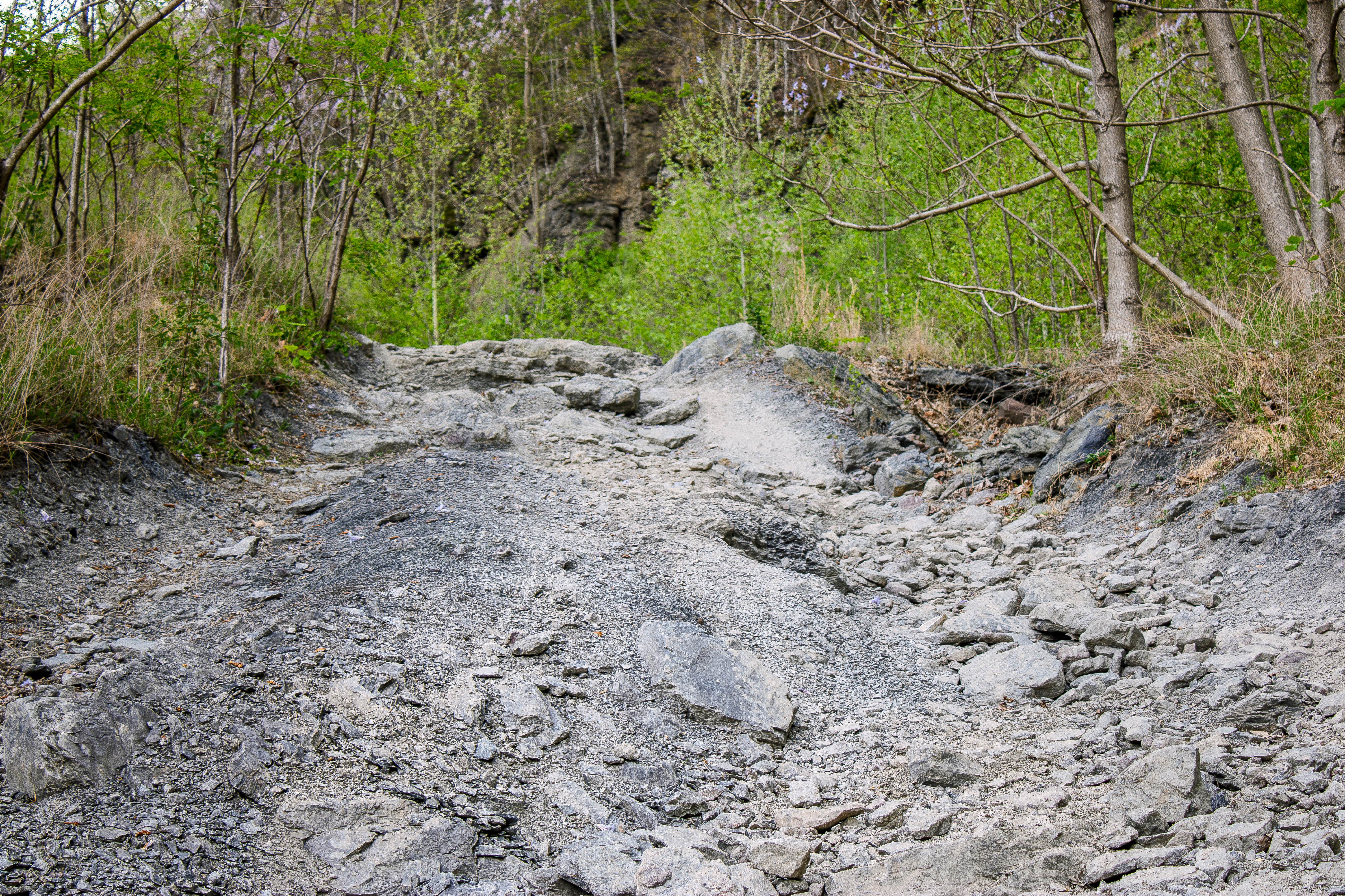 S8 Trail