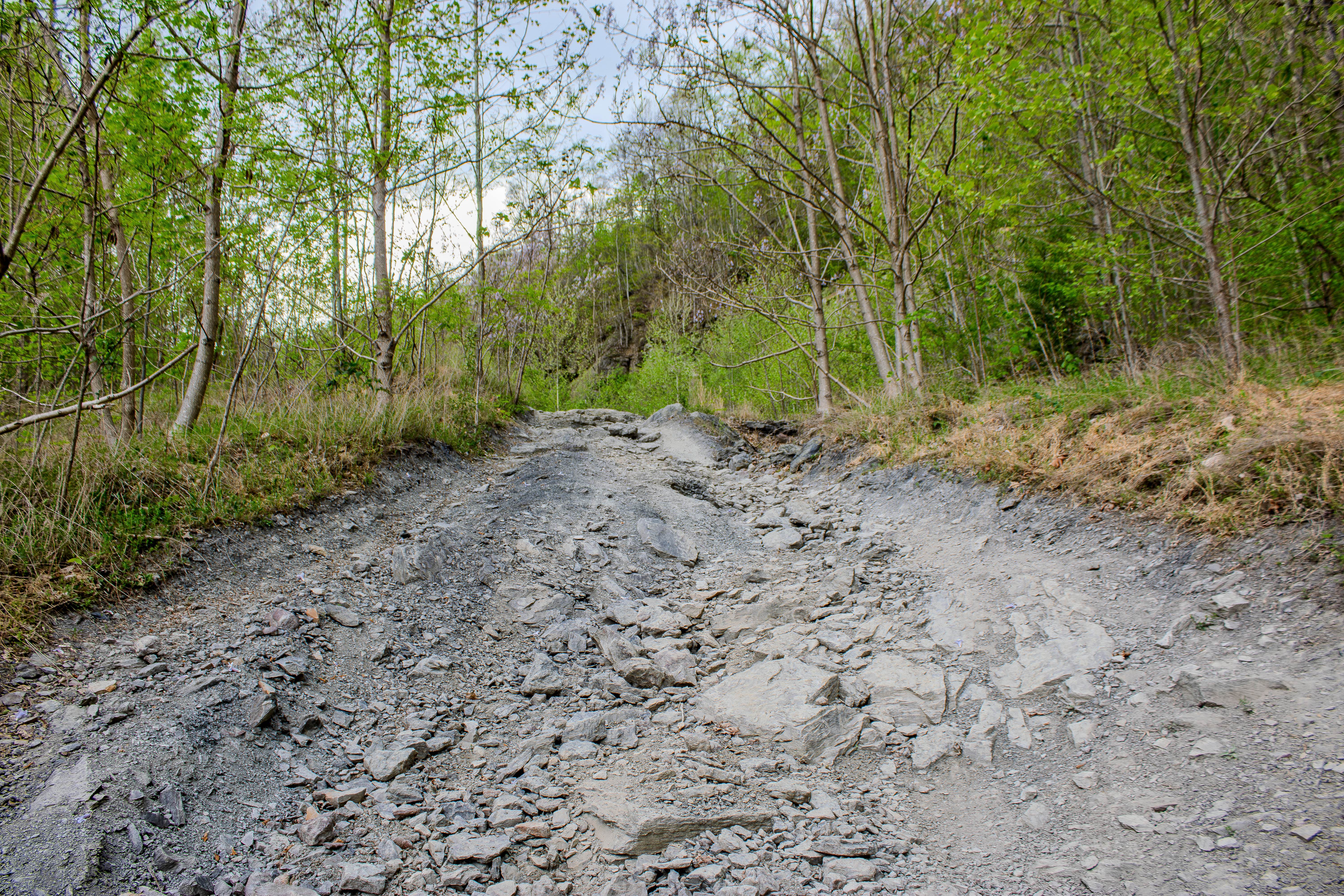 S8 Trail