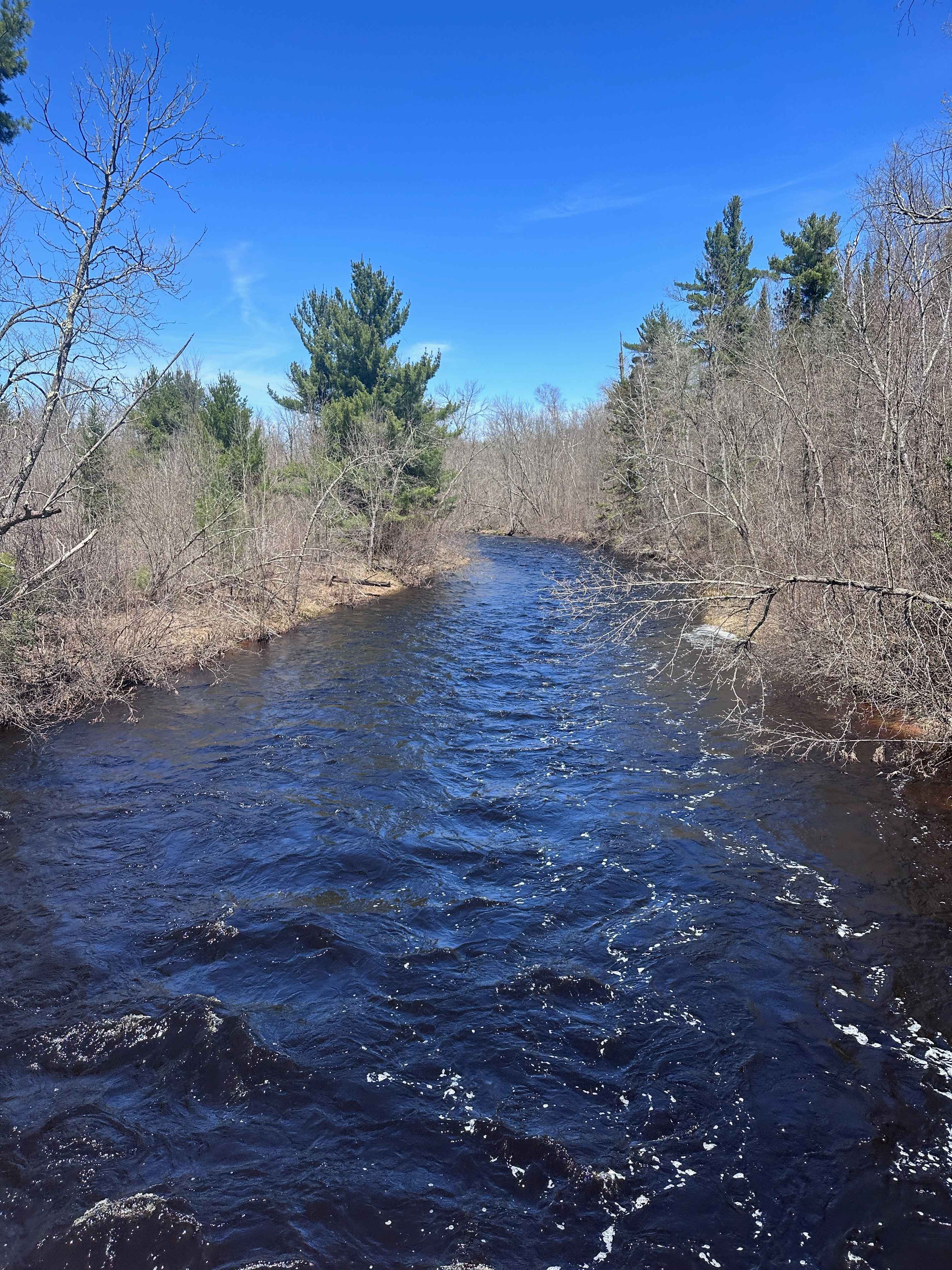Grace Lake Trail
