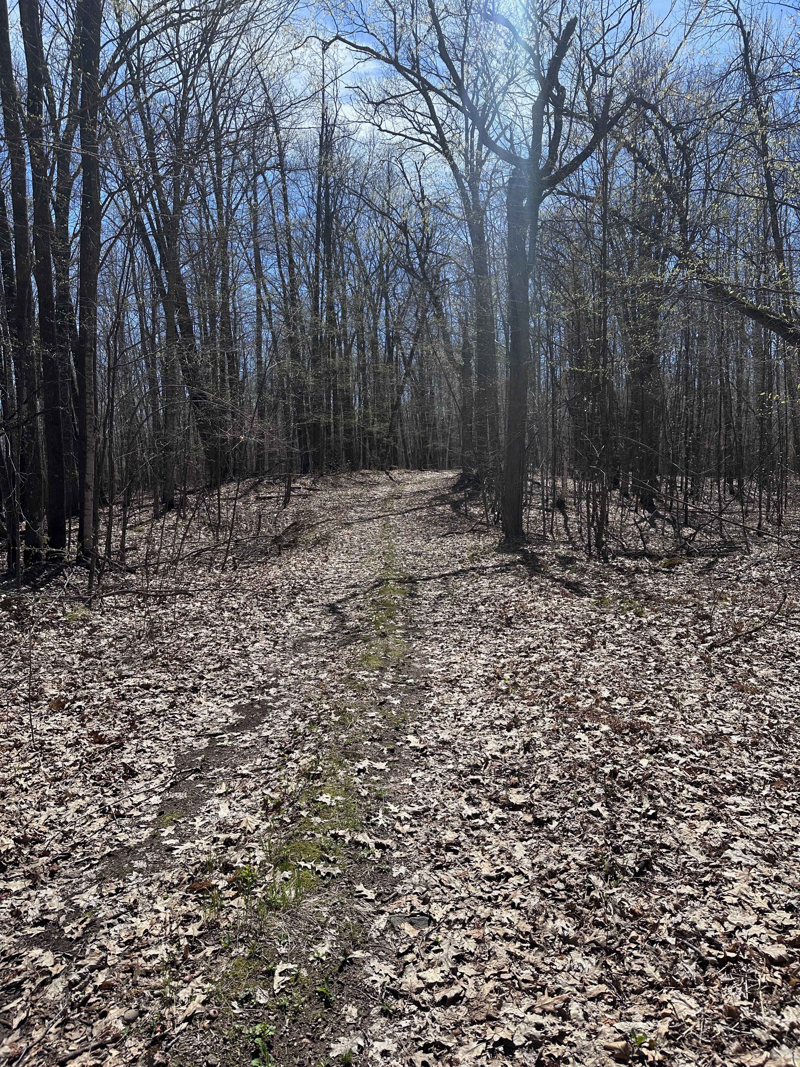 Hunter's Spur