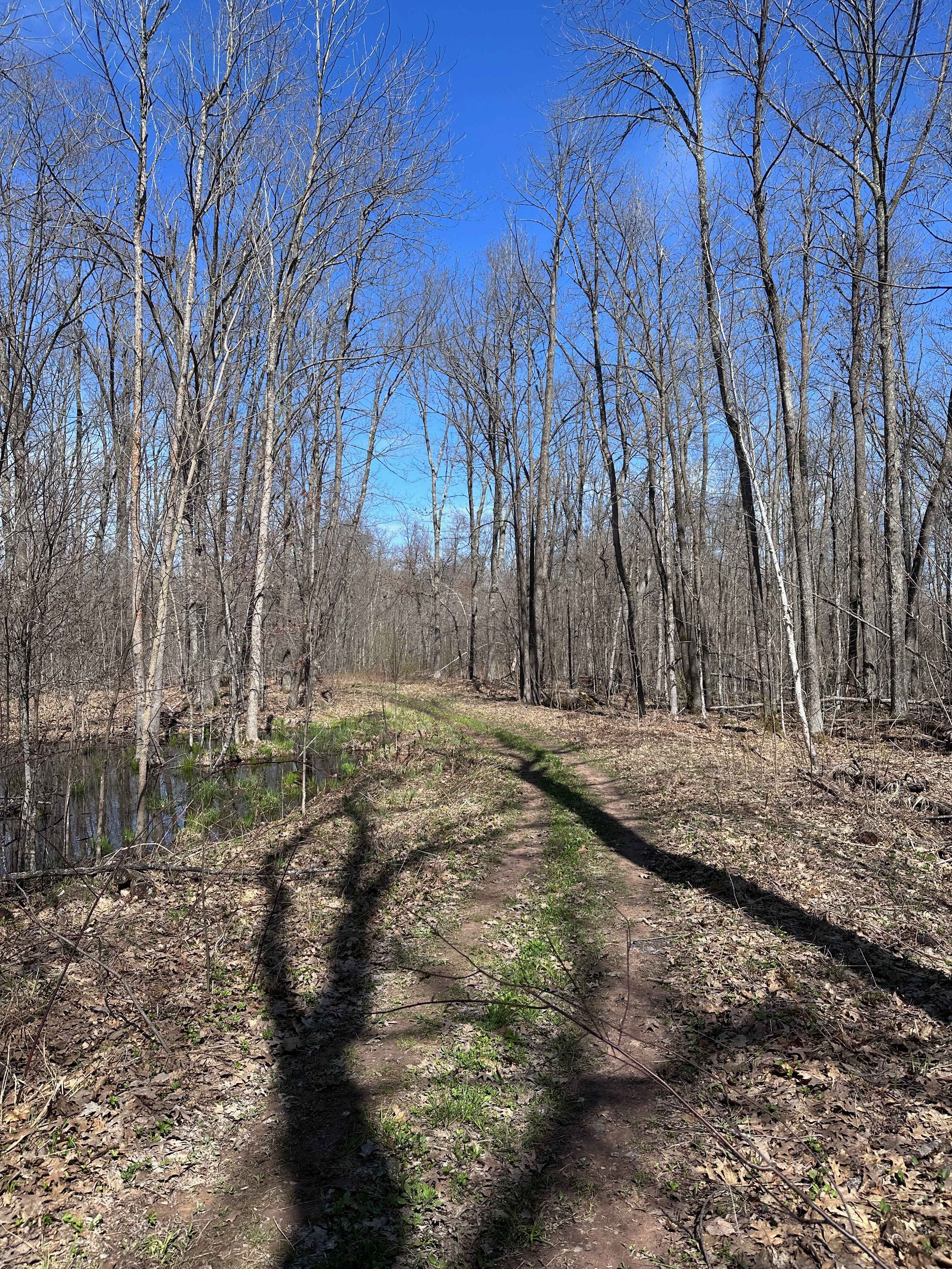 Hay Creek Trail