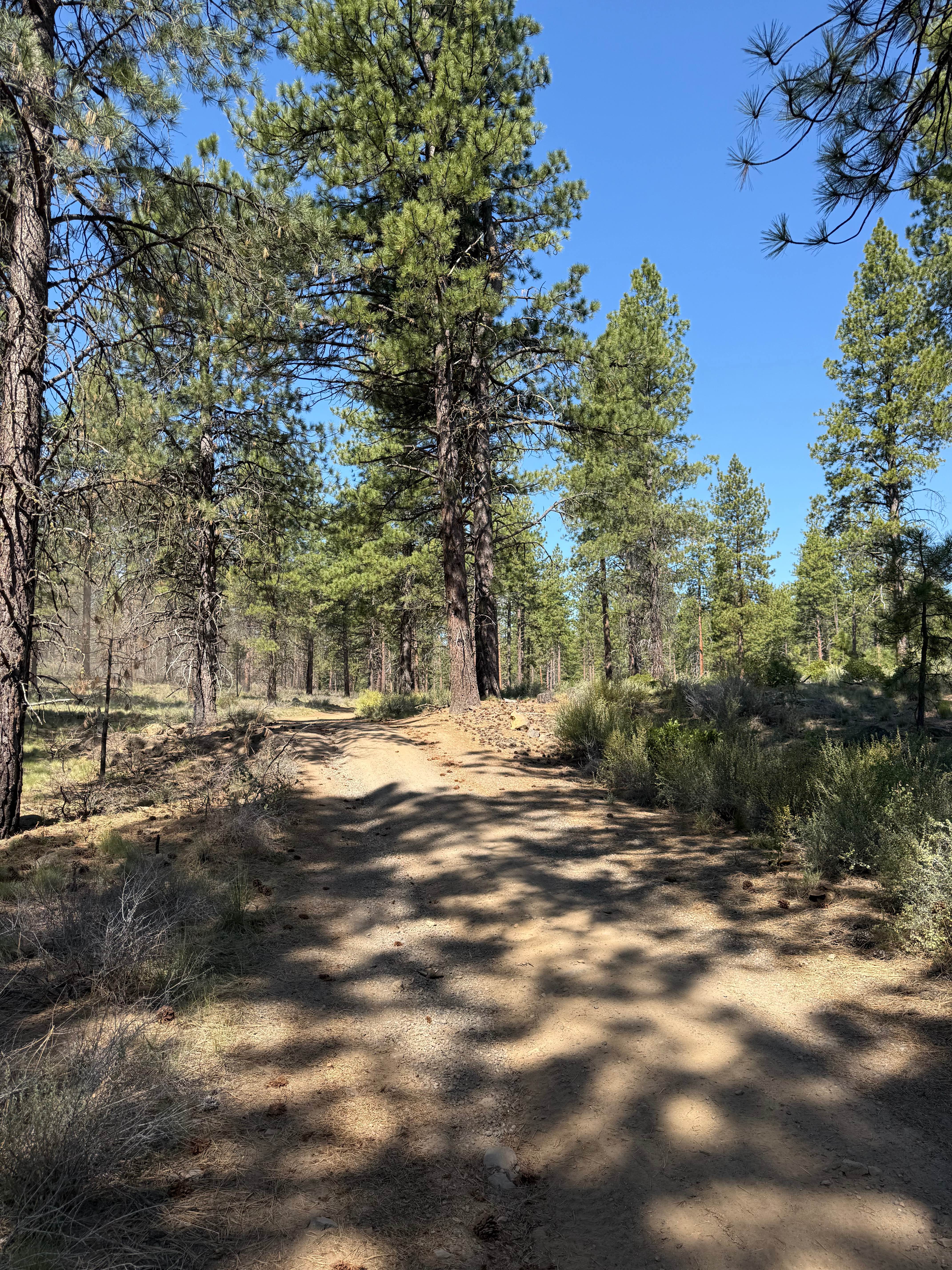 Big Burn Road