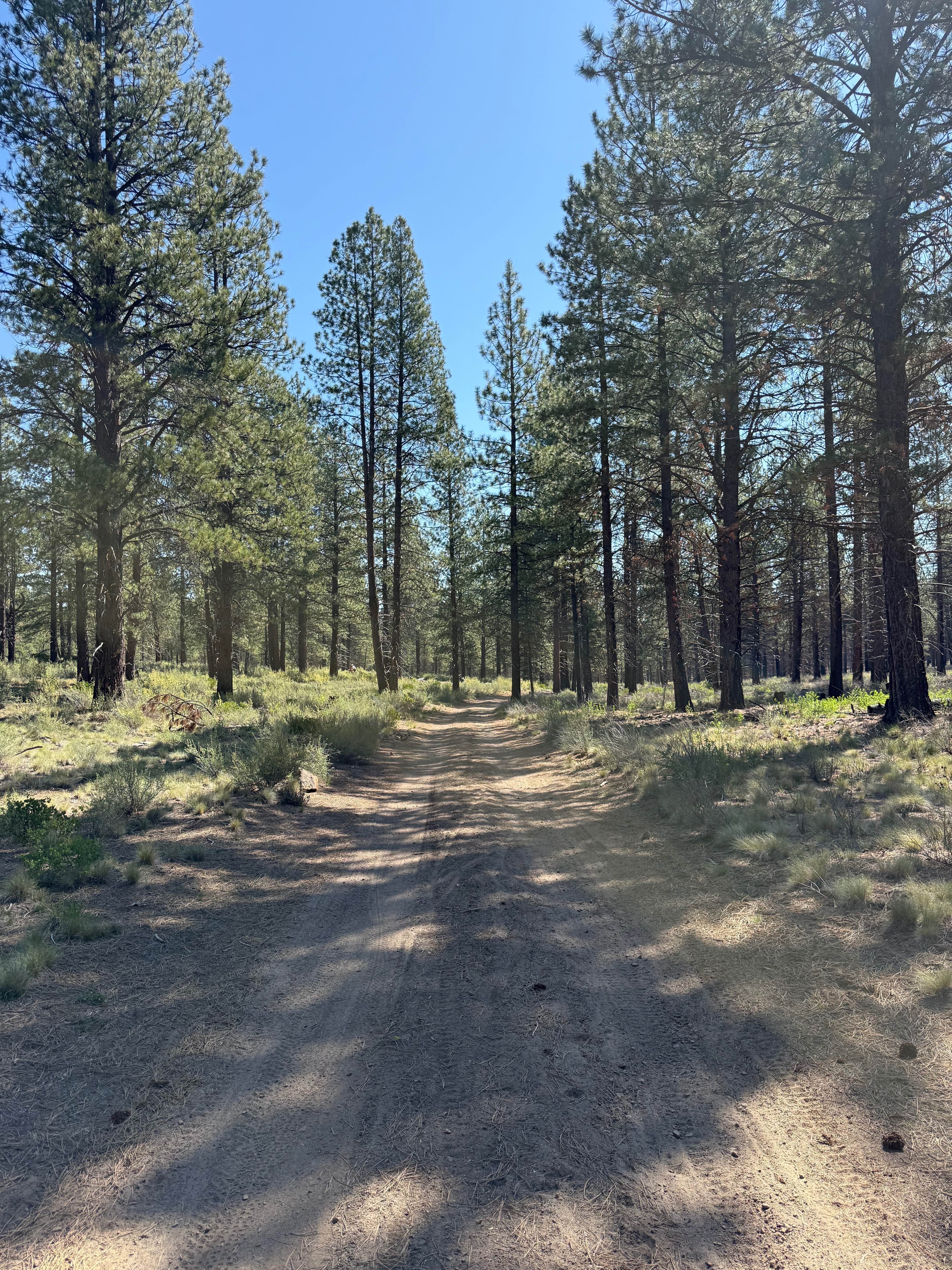 Big Burn Road