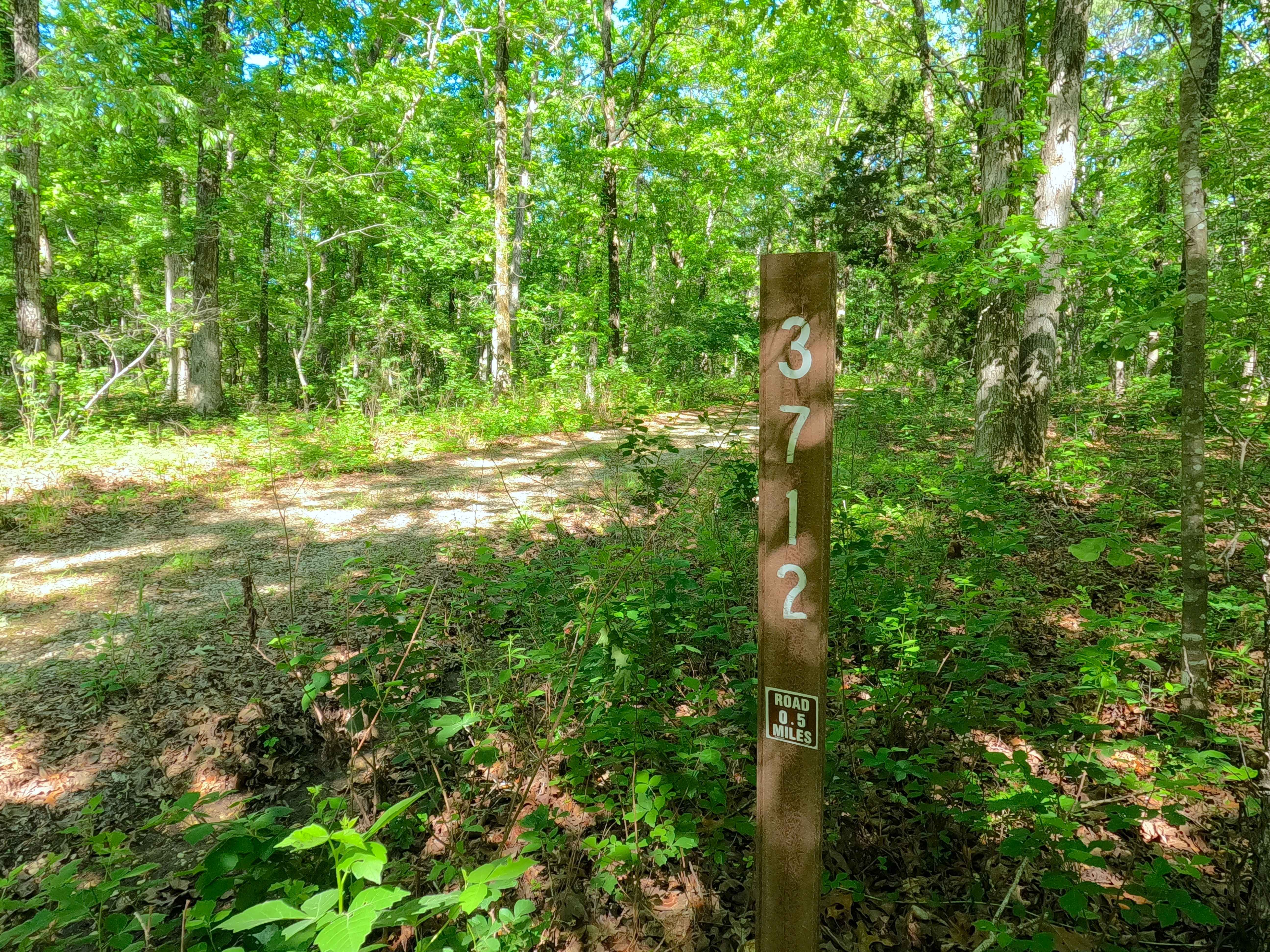 Harmon Ridge - FS 3712