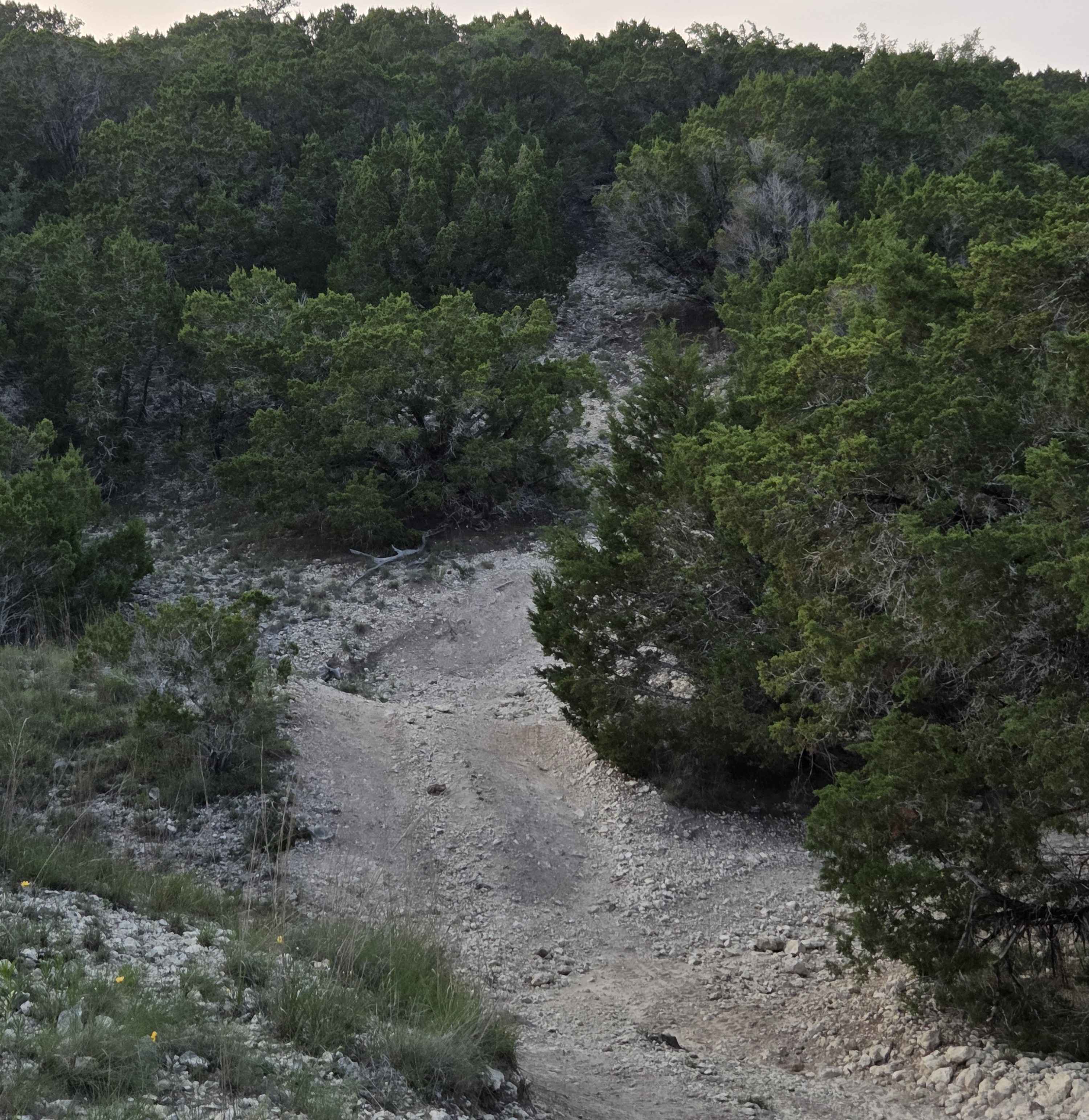 Carnage Canyon 2