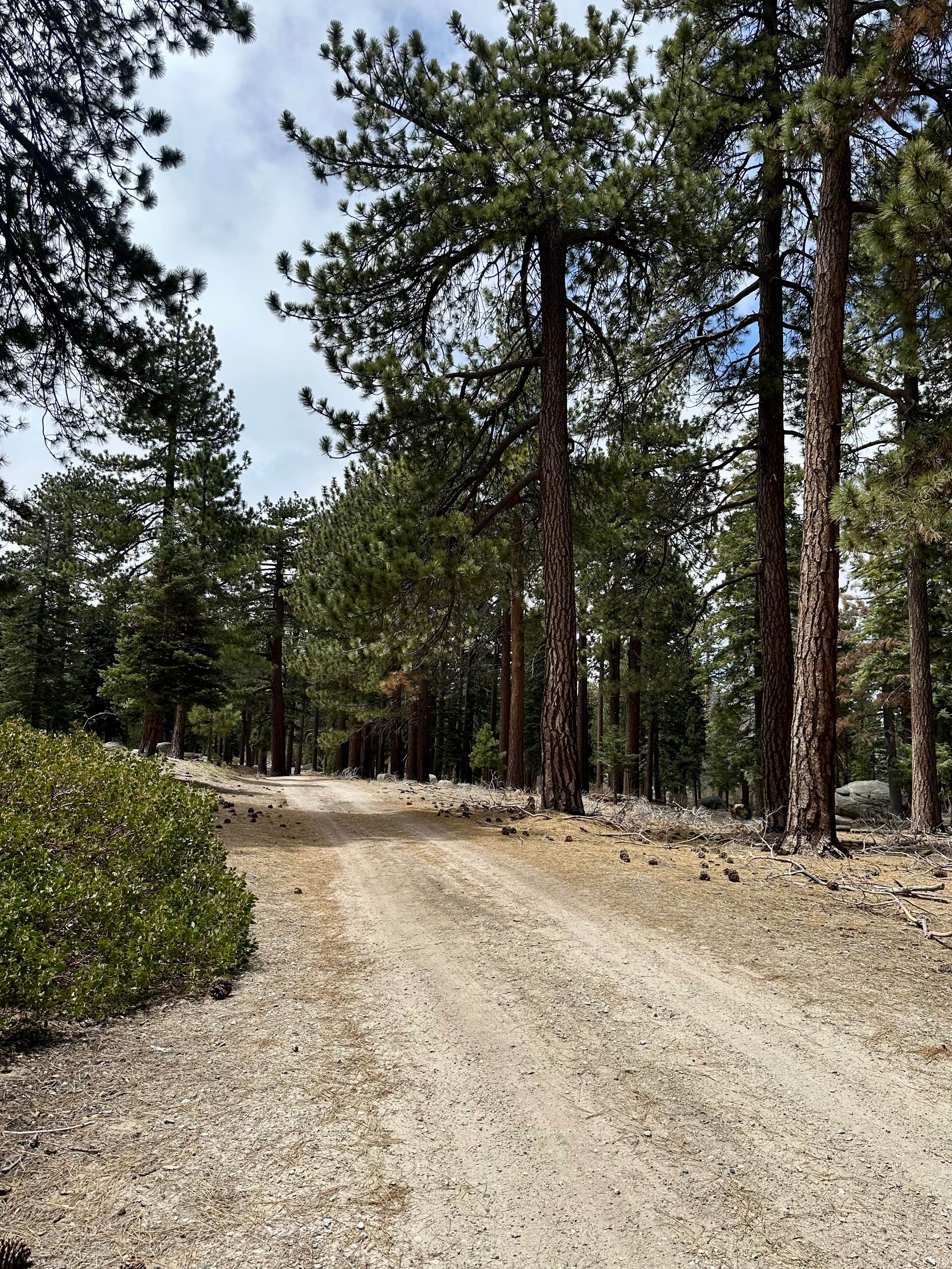 Kidd Creek - FS 2N86