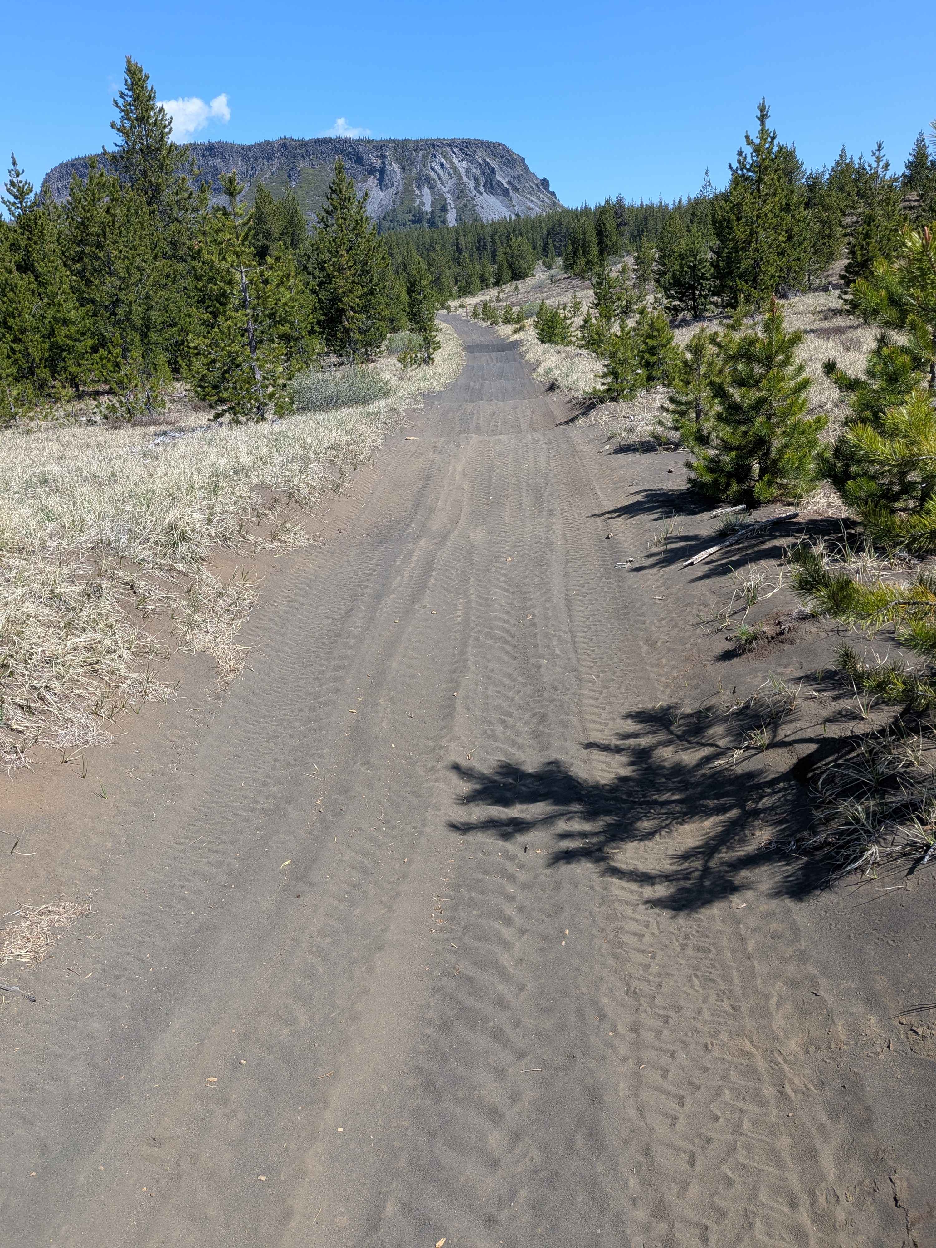 Santiam OHV 13