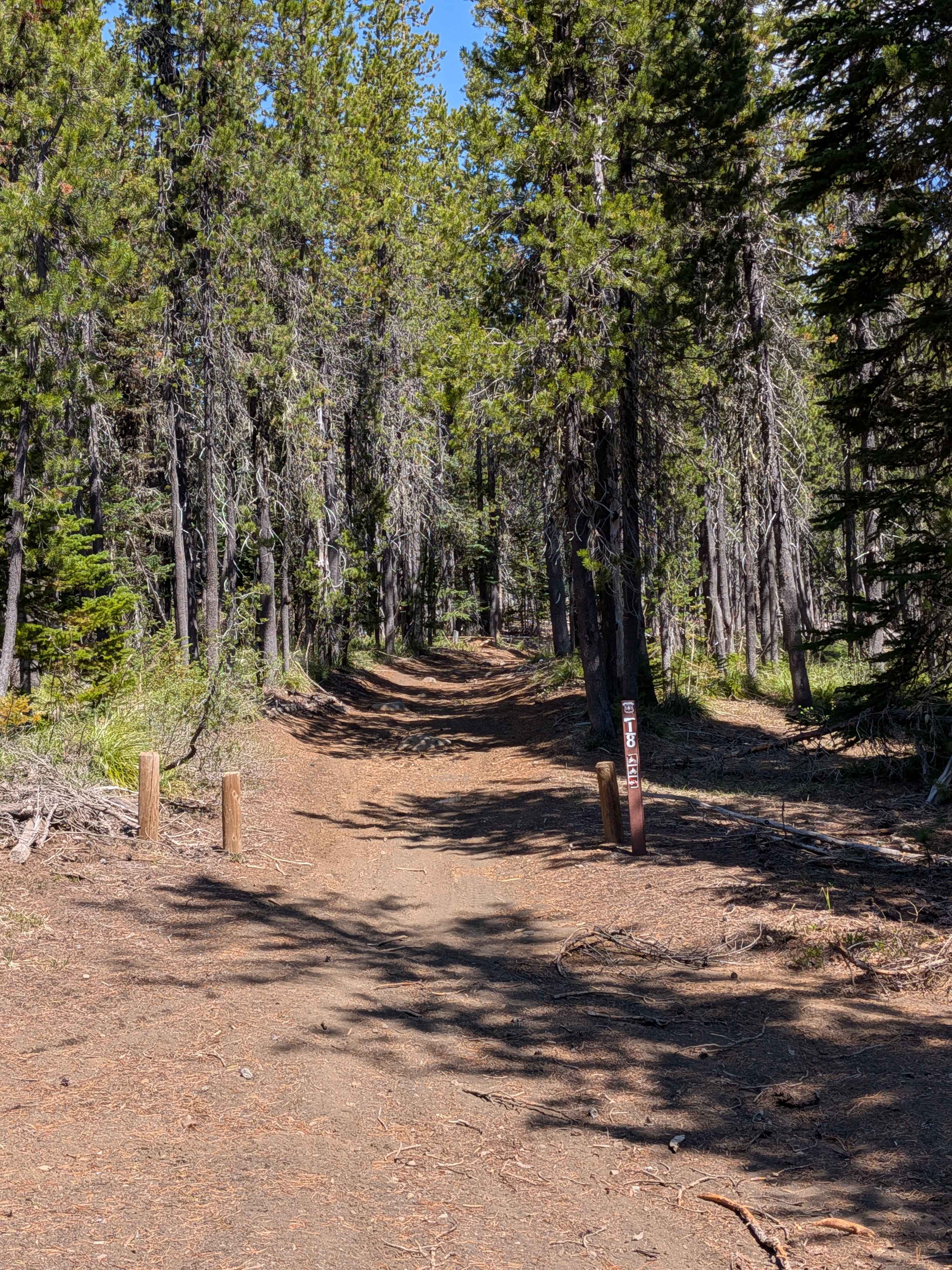 Santiam OHV 18