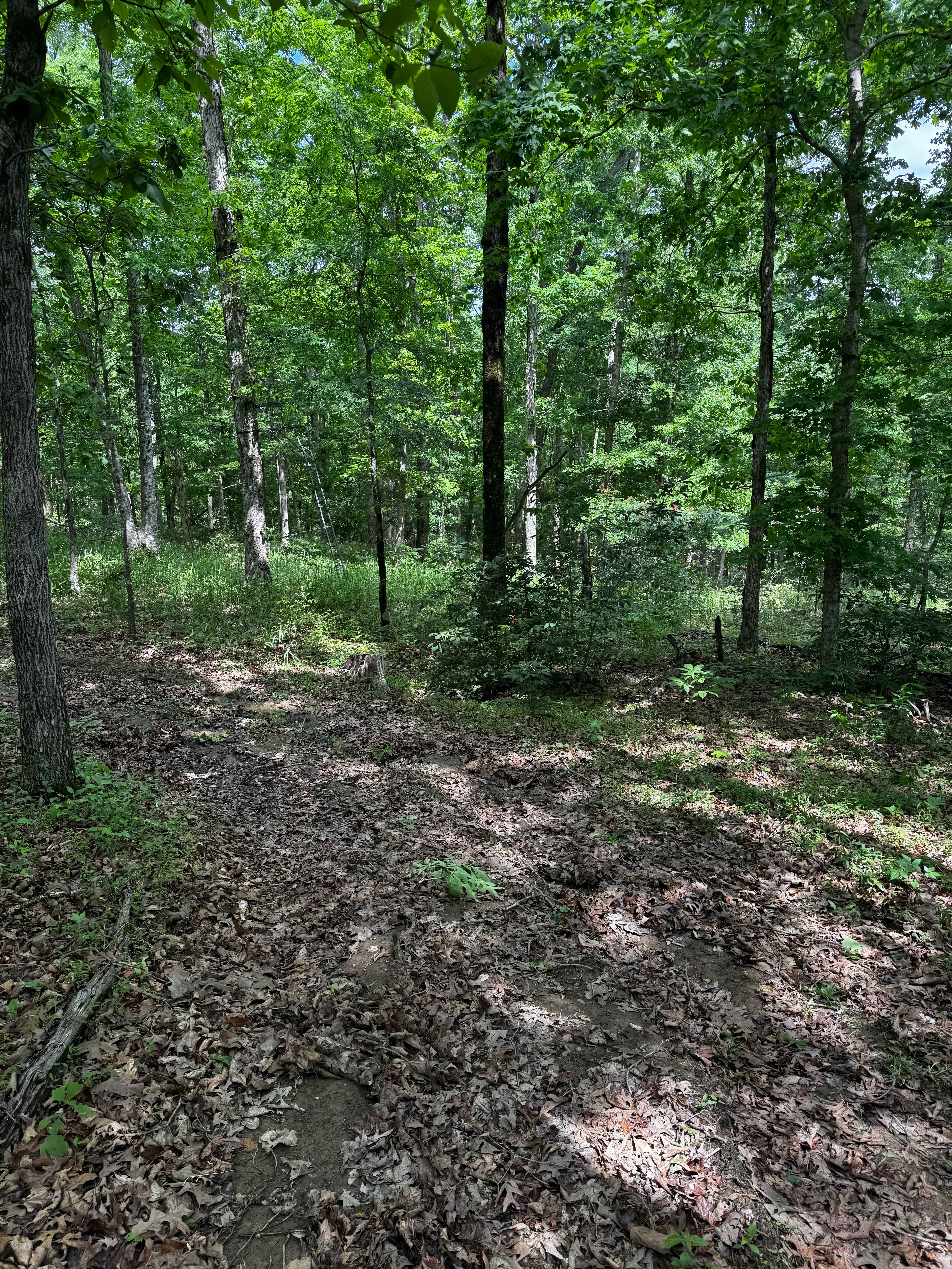 Inner Trail 1