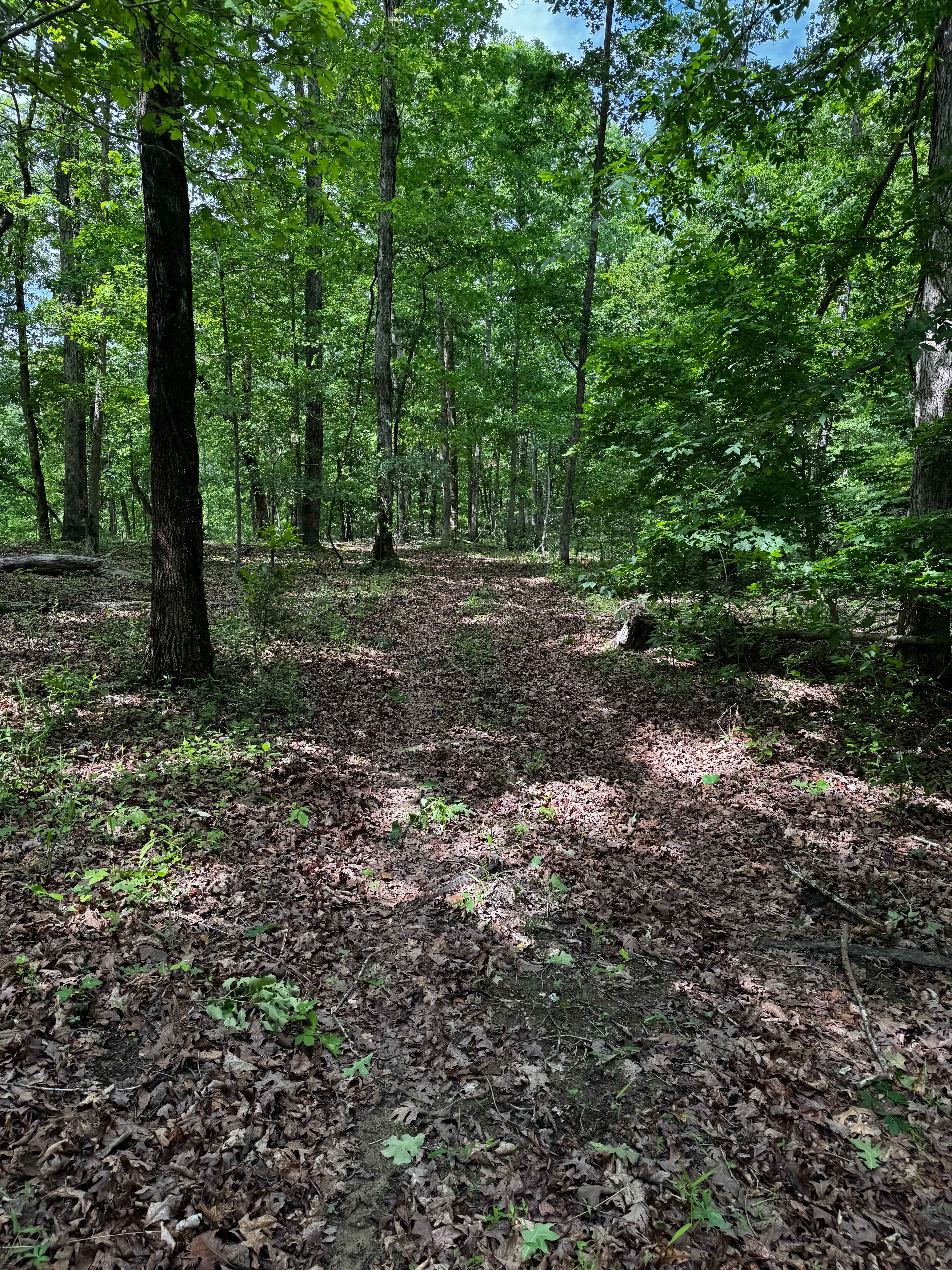 Inner Trail 1
