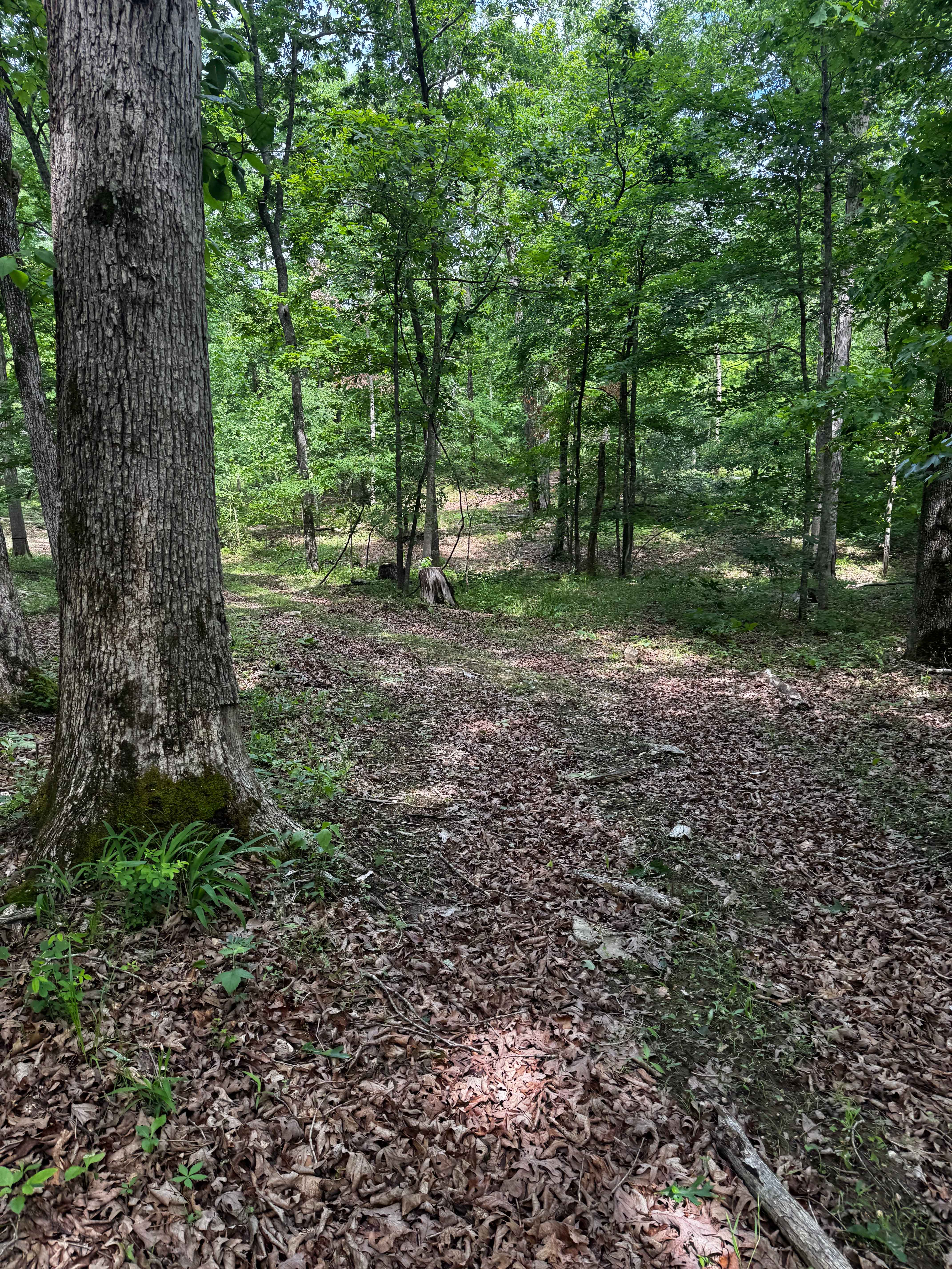 Perimeter Trail