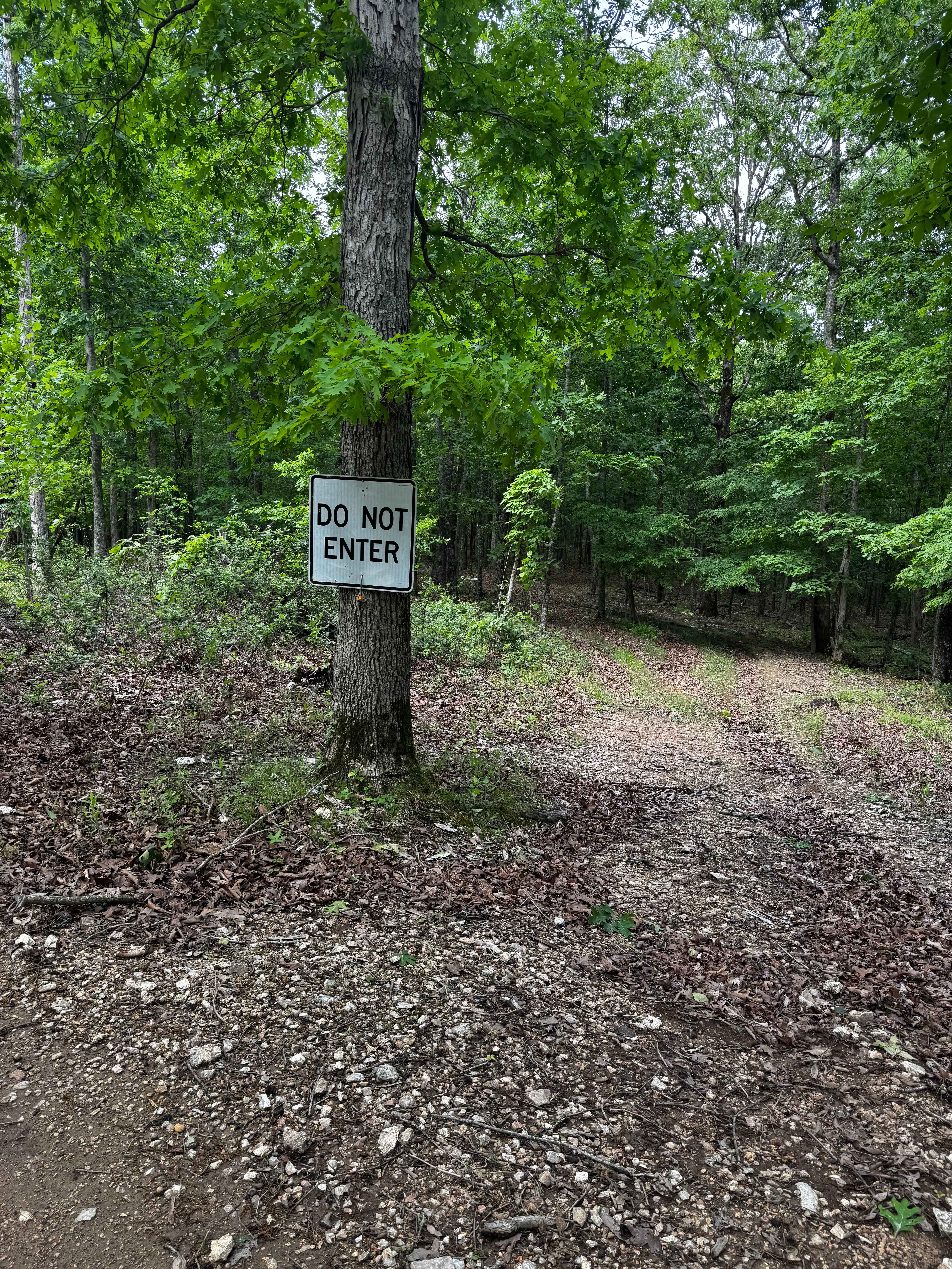 Perimeter Trail