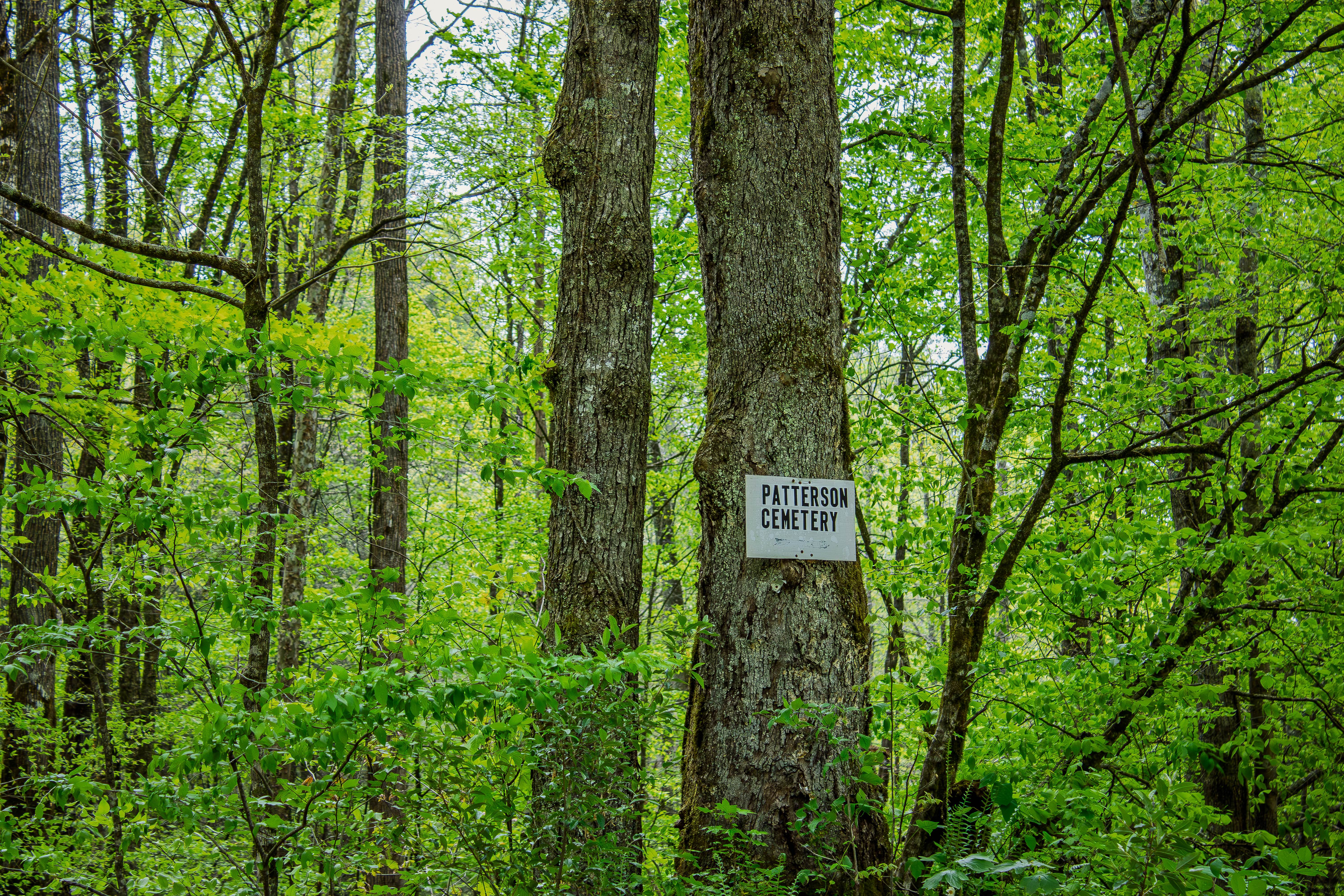 Patterson Cemetery Road